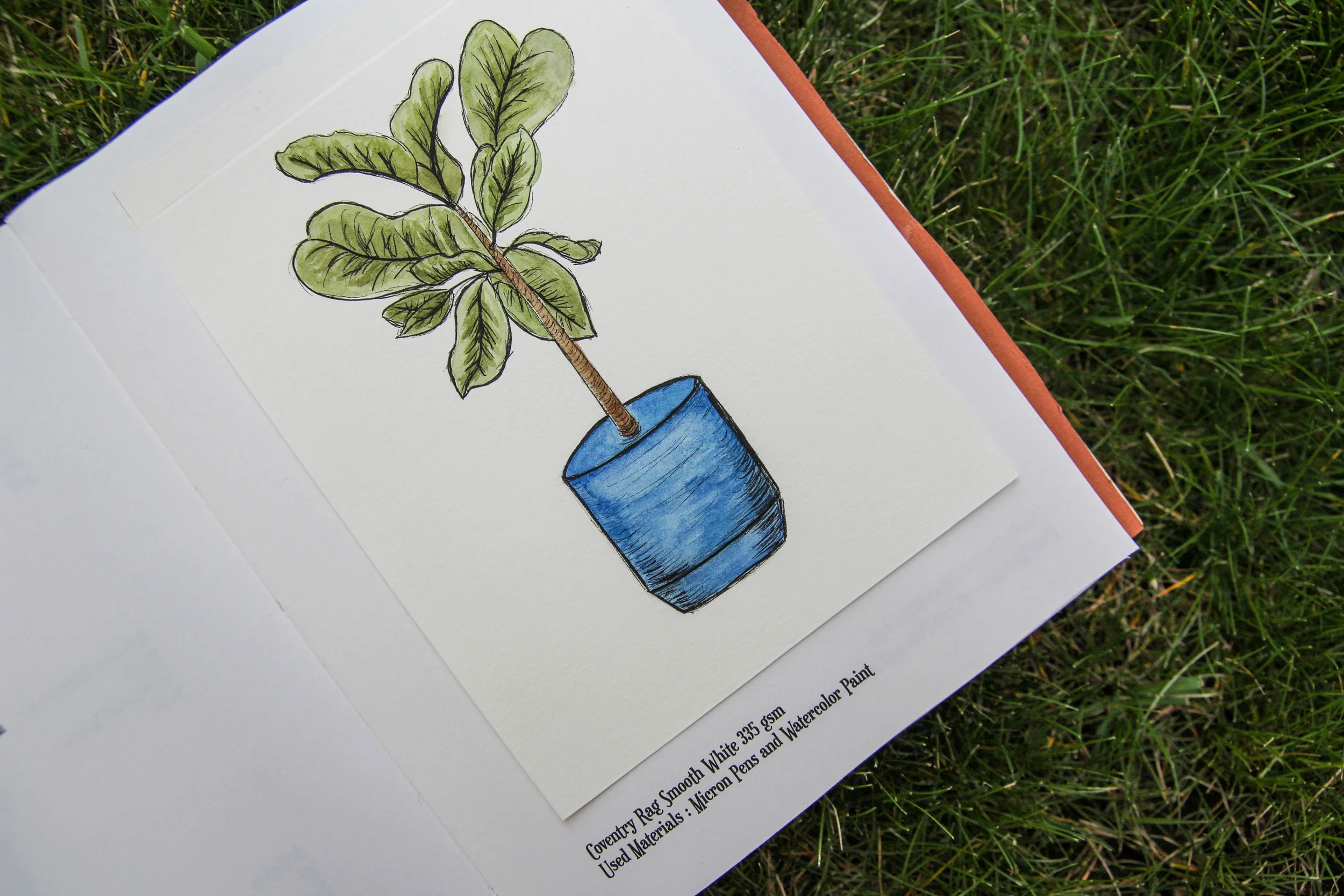WATERCOLOR-34.jpg