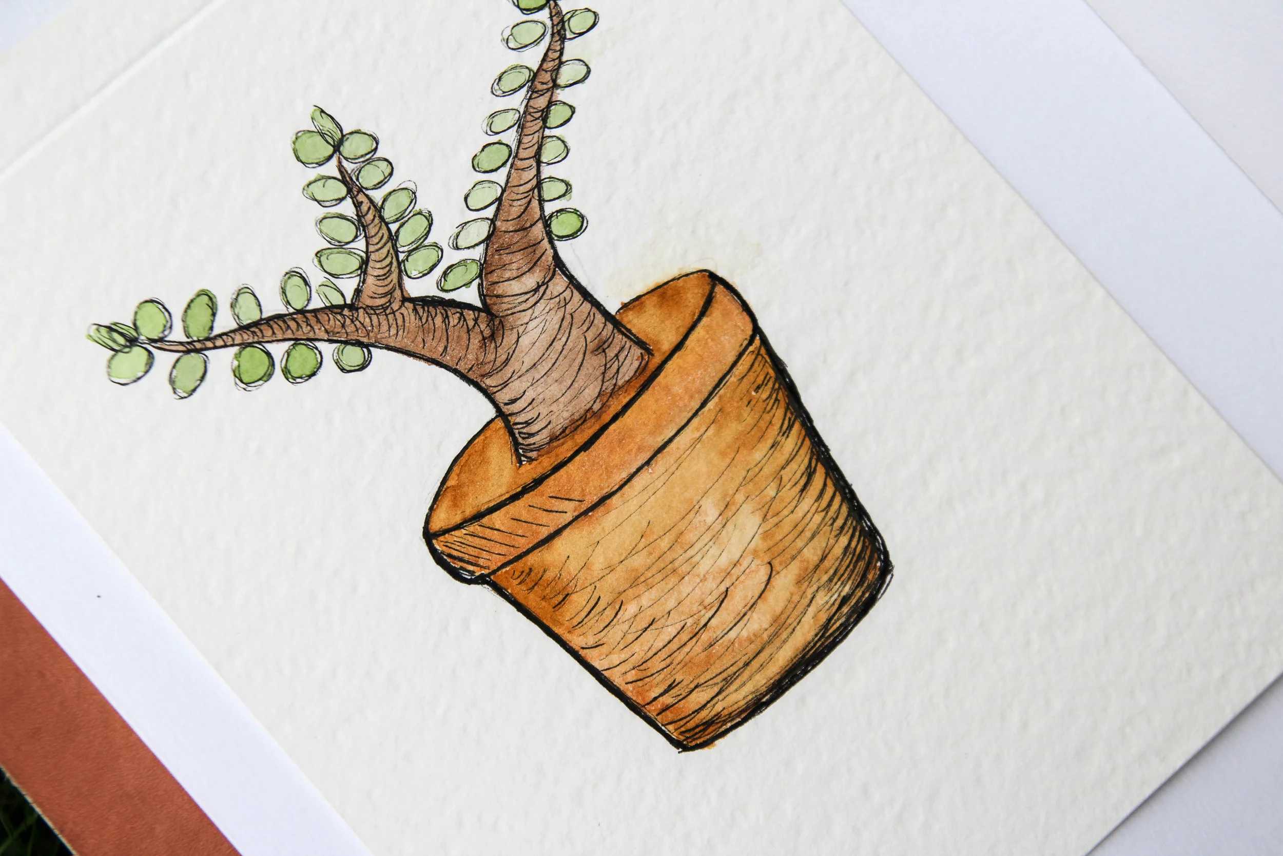 WATERCOLOR-31.jpg