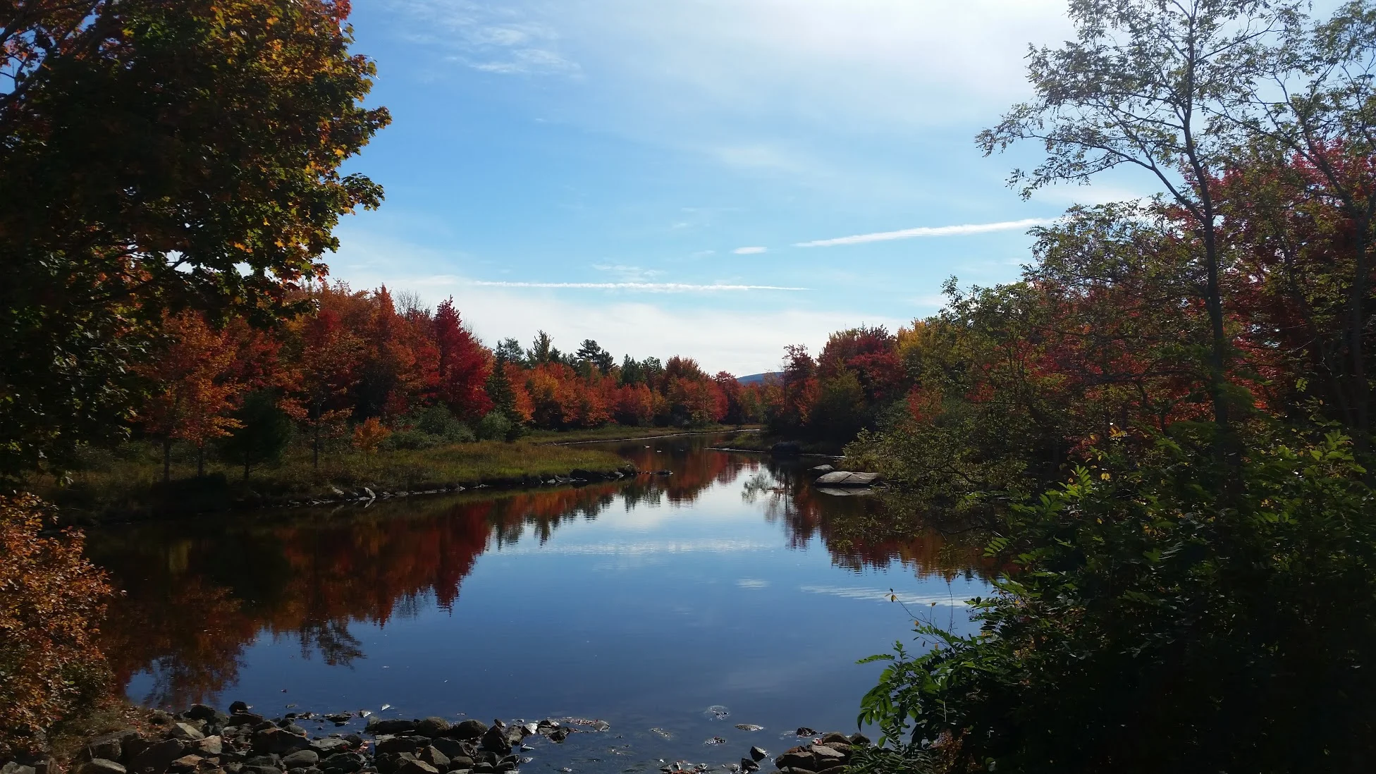 NewEnglandLeaves.jpg