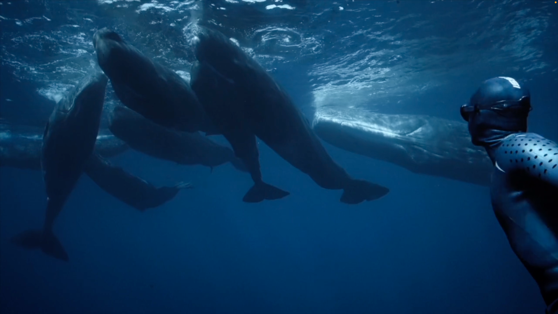 Jesse Watt - Film and TV Music Reel 2022