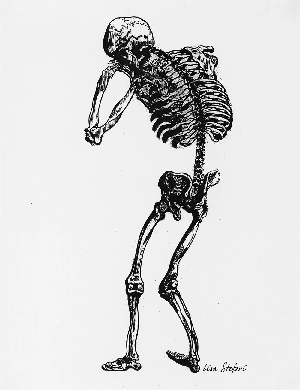 SKELETAL_SIGNATURE_1000pix.jpg