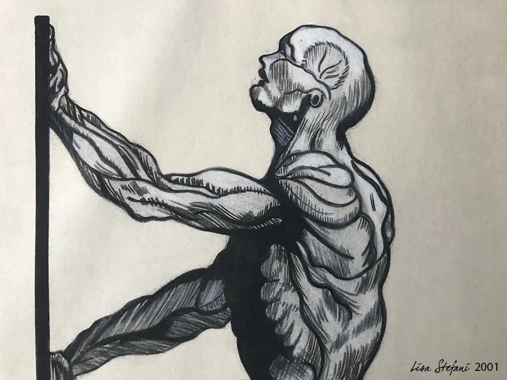 Muscle | Charcoal | MS, Medium Shot | 2001