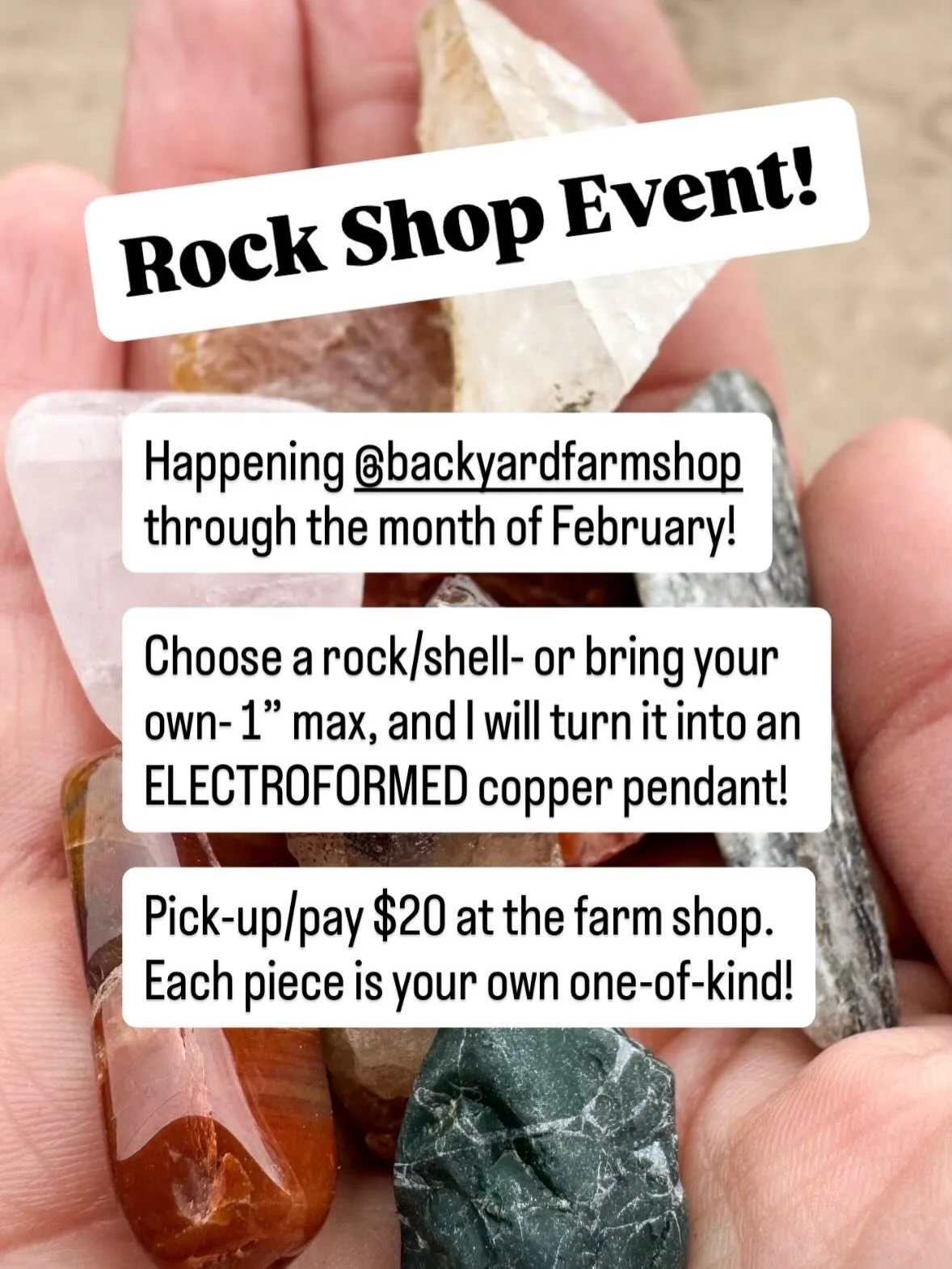 If you&rsquo;re in Colorado, here&rsquo;s a fun February perk! @backyardfarmshop 

This pendant making method is perfect for those stones or shells we have laying around that aren&rsquo;t quite &ldquo;setable&rdquo; #electroforming is such a neat way