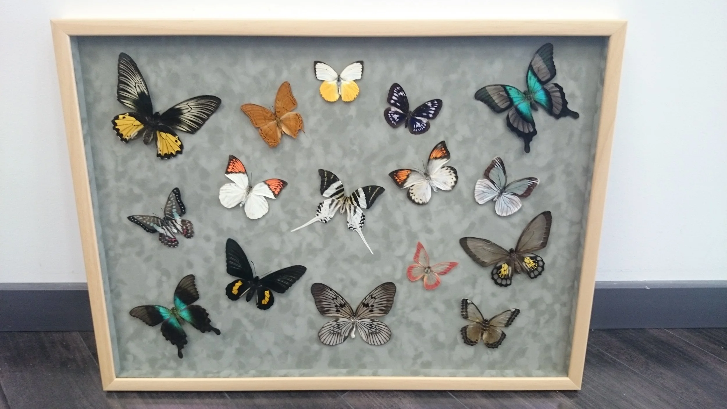 It's how you group and display.JPG