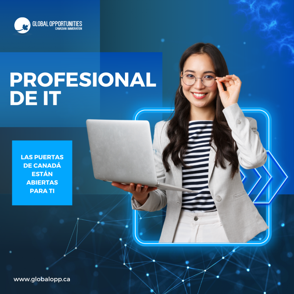 Profesionales de IT