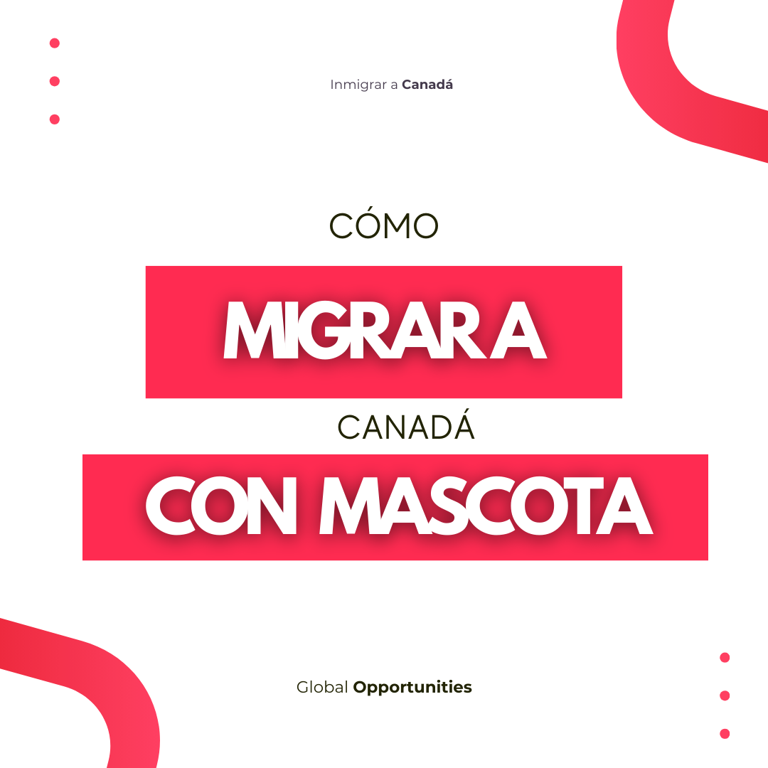 MIGRAR A CANADÁ CON TU MASCOTA: GUÍA COMPLETA 2025–2026