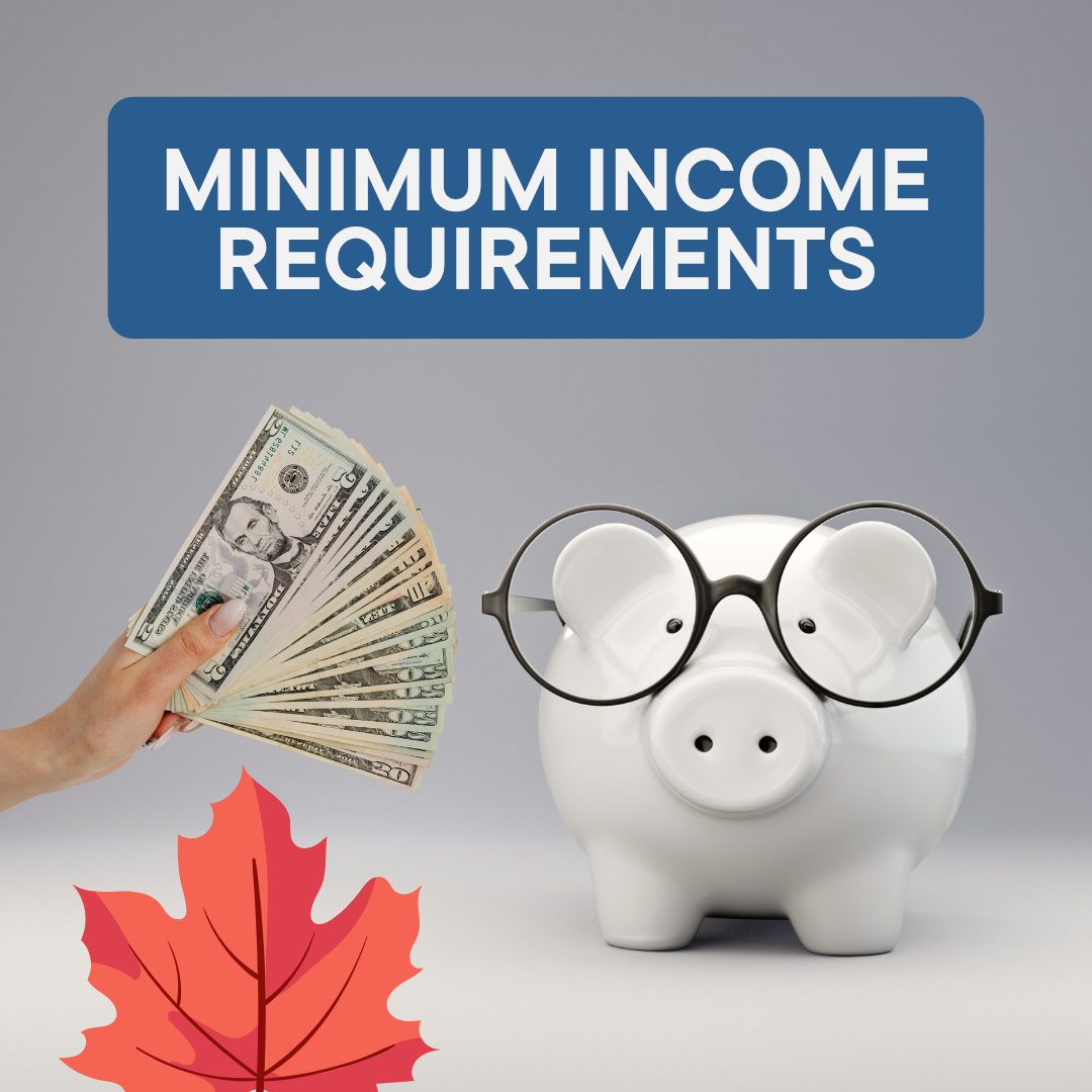 MINIMUM INCOME REQUIREMENTS