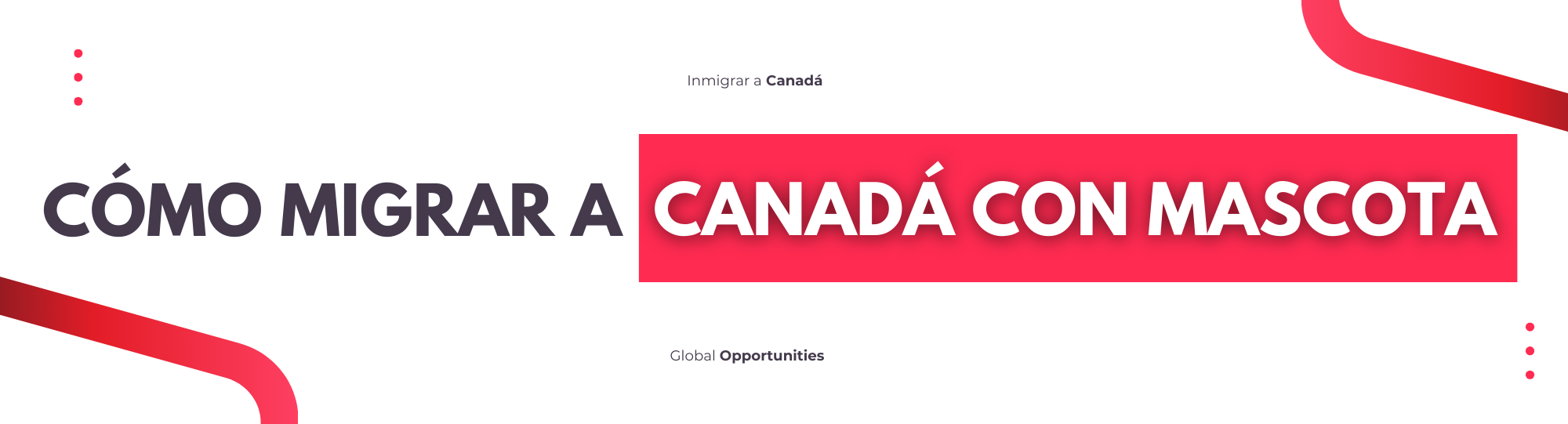 MIGRAR A CANADÁ CON TU MASCOTA: GUÍA COMPLETA 2025–2026