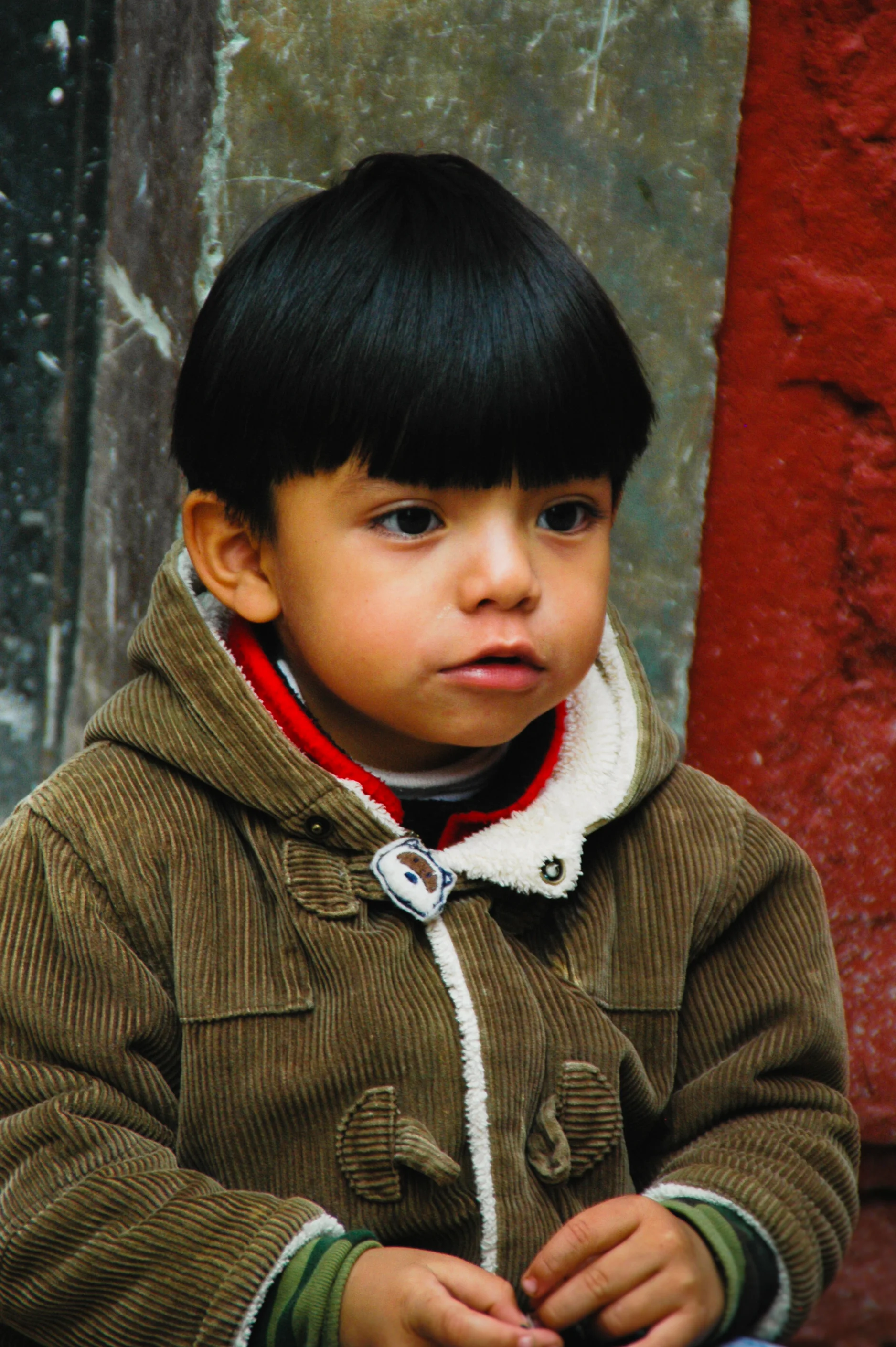 20081029-DSC_6922.jpg