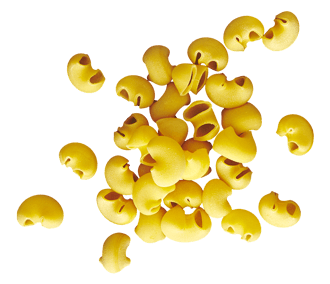 CANESTRI: A short, bent pocket of pasta which holds sauce well. Similar to macaroni, but wider. 