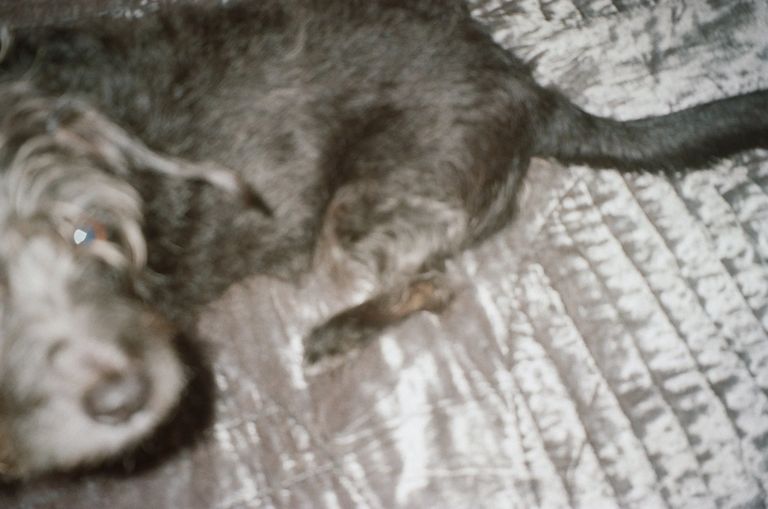 000073060013 copy.jpg