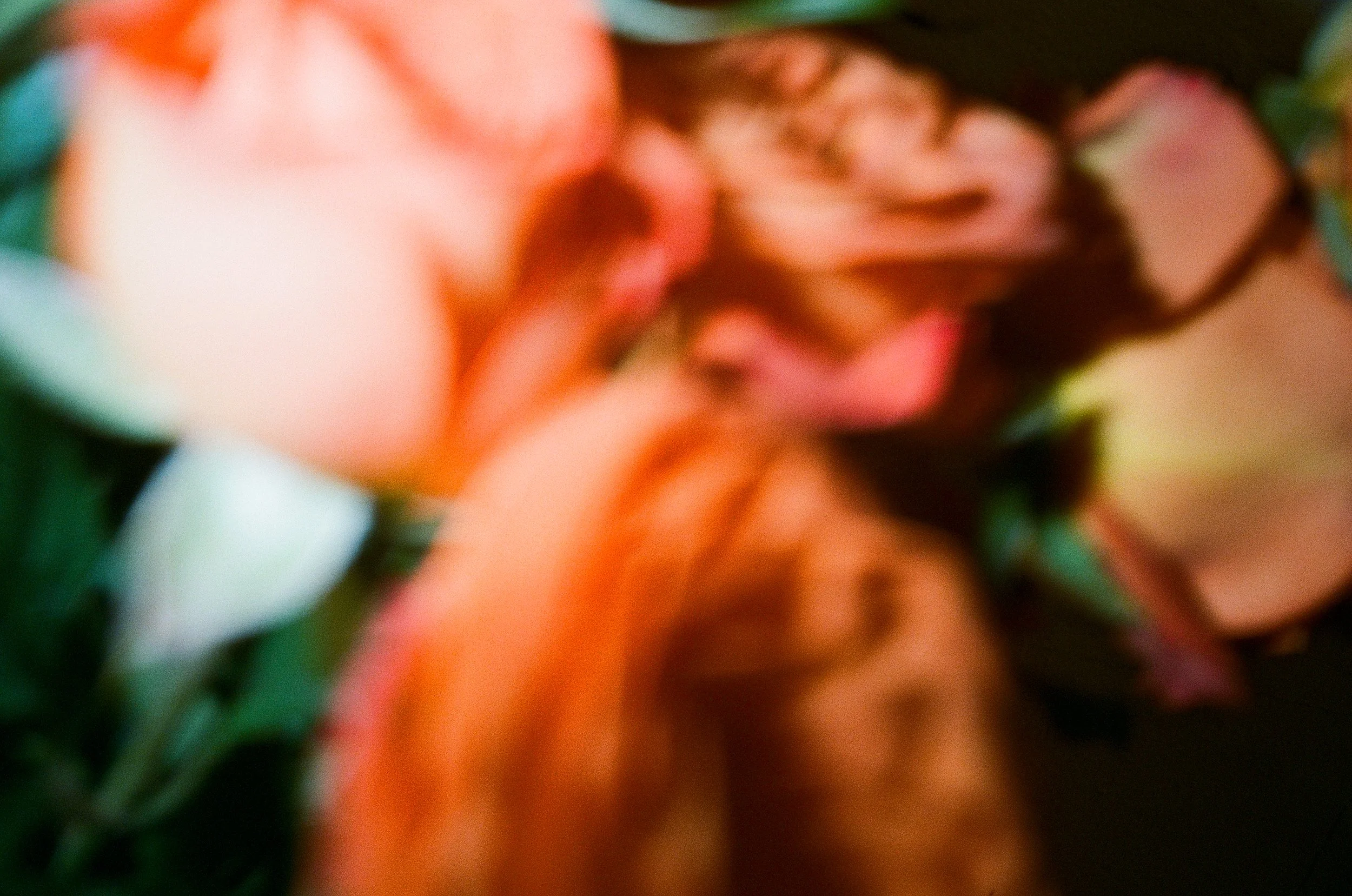 dec 2025 edit-11.jpg