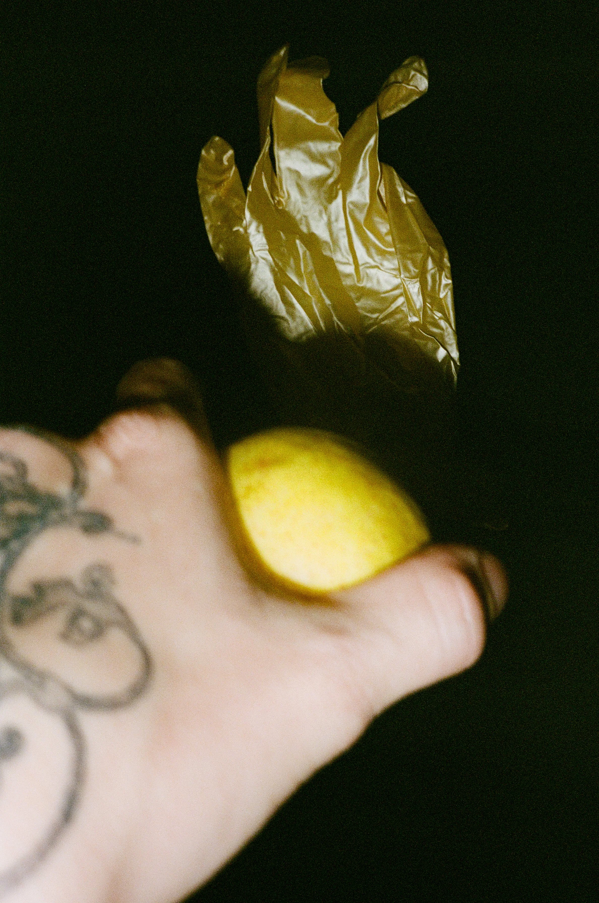 dec 2025 edit-10.jpg