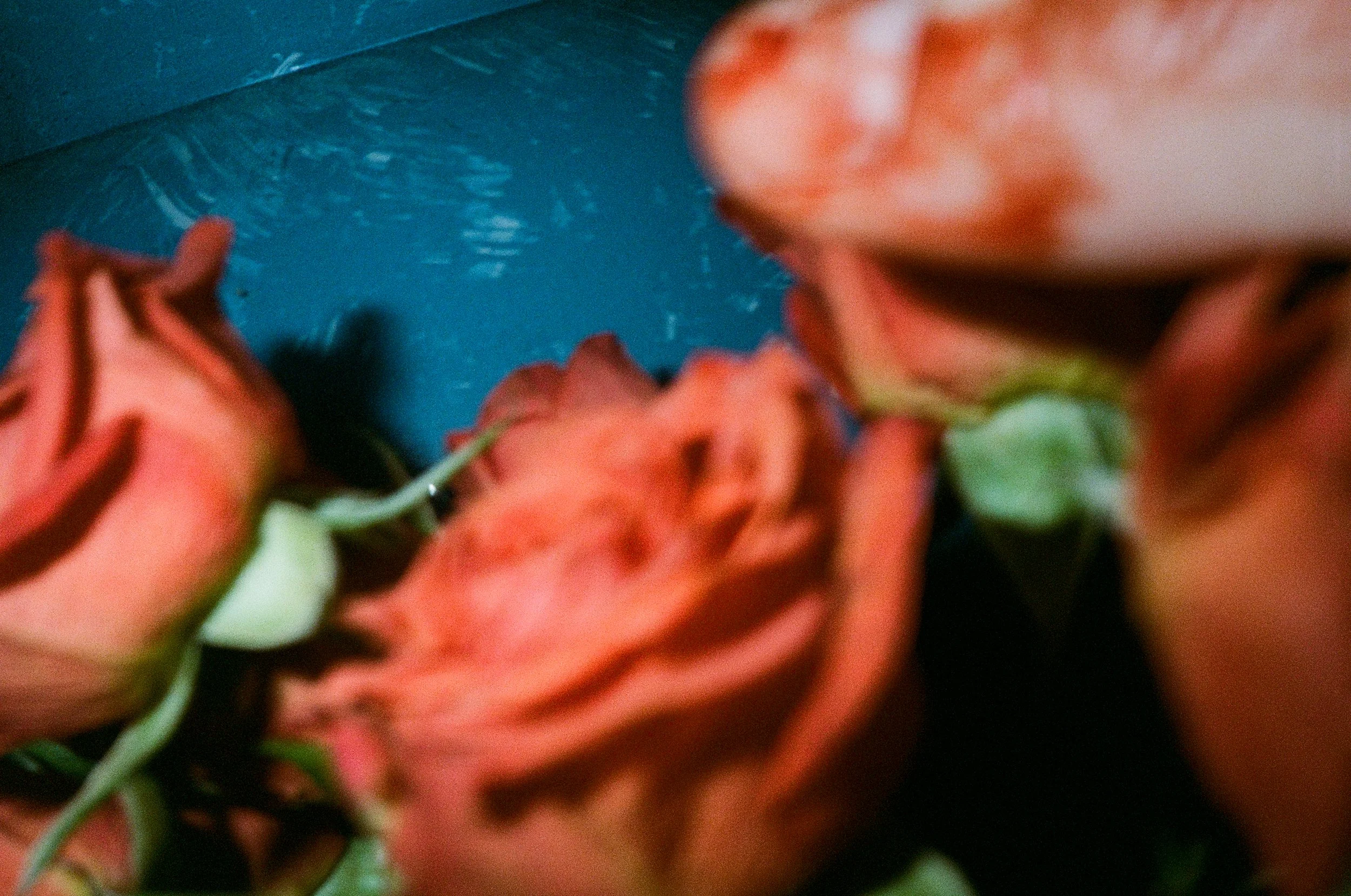 dec 2025 edit-16.jpg