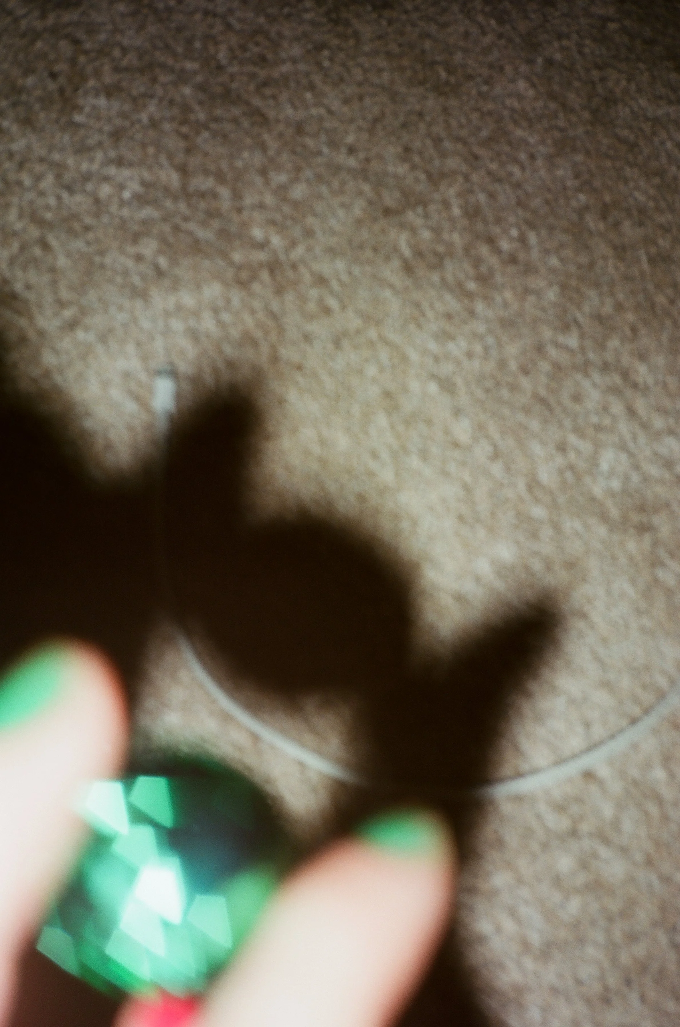 jan 2026 edit-08.jpg