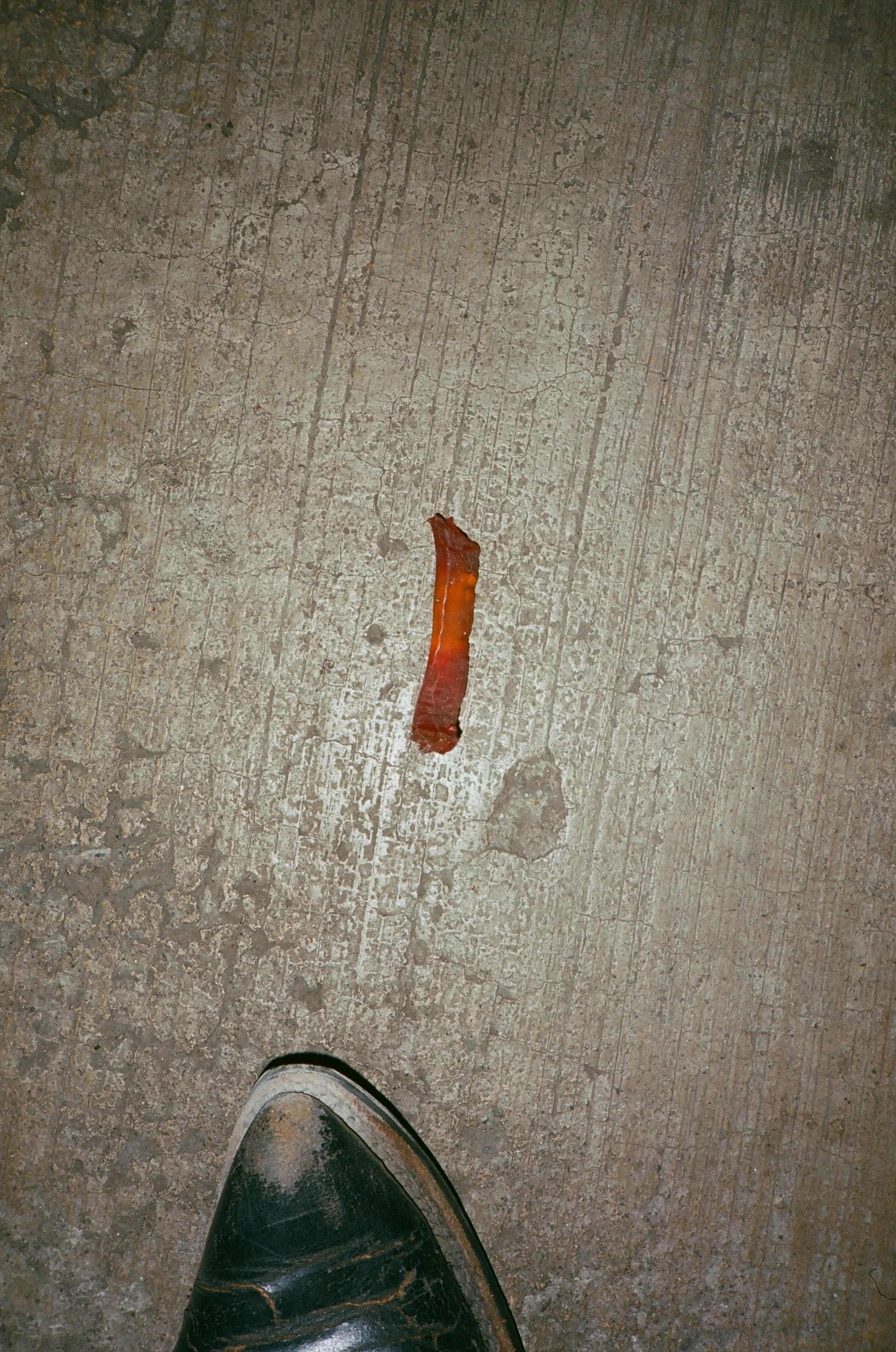 jan 2026 edit-14.jpg