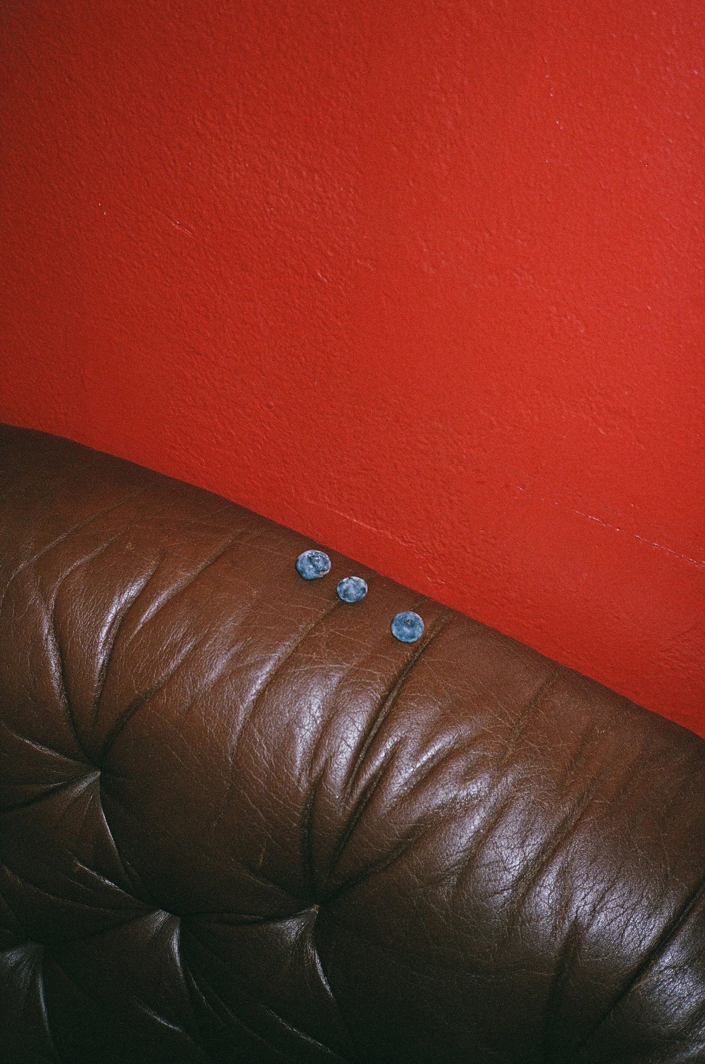 15910022.jpg