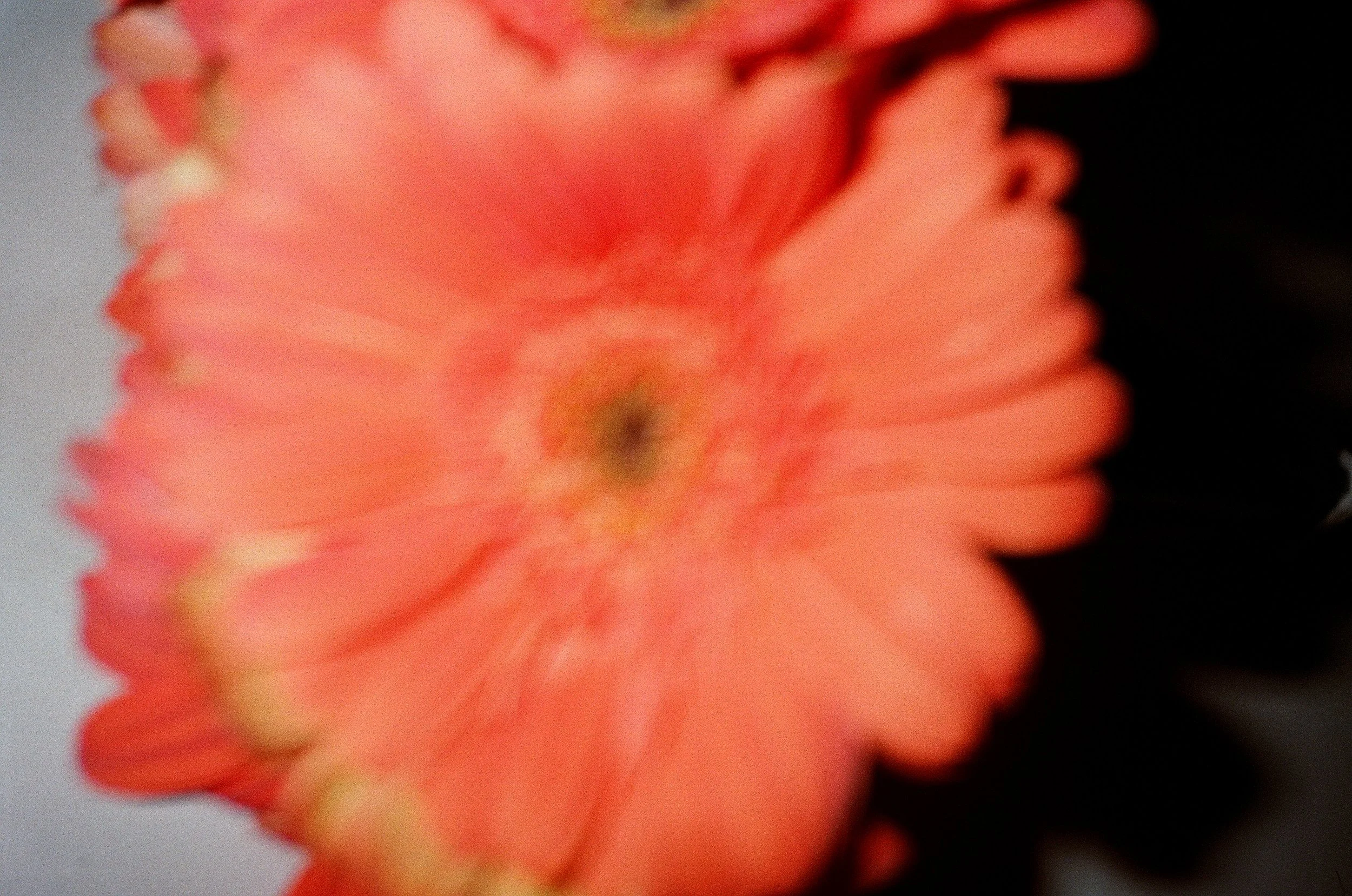 18040013.jpg