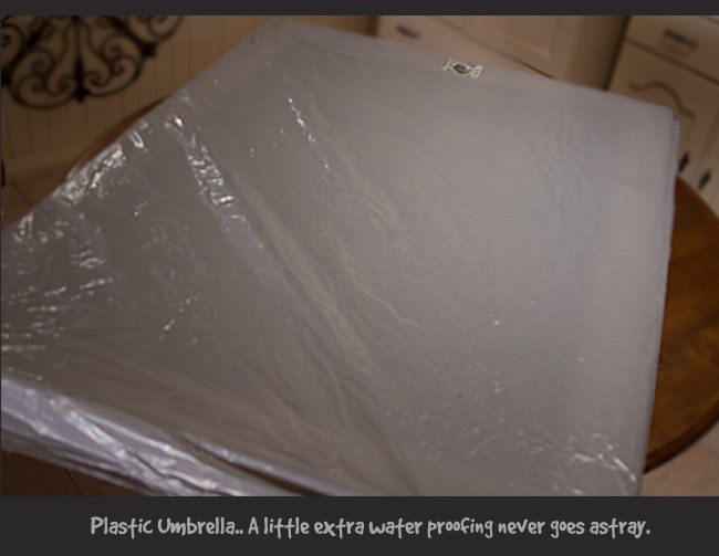 blog_plastic.jpg