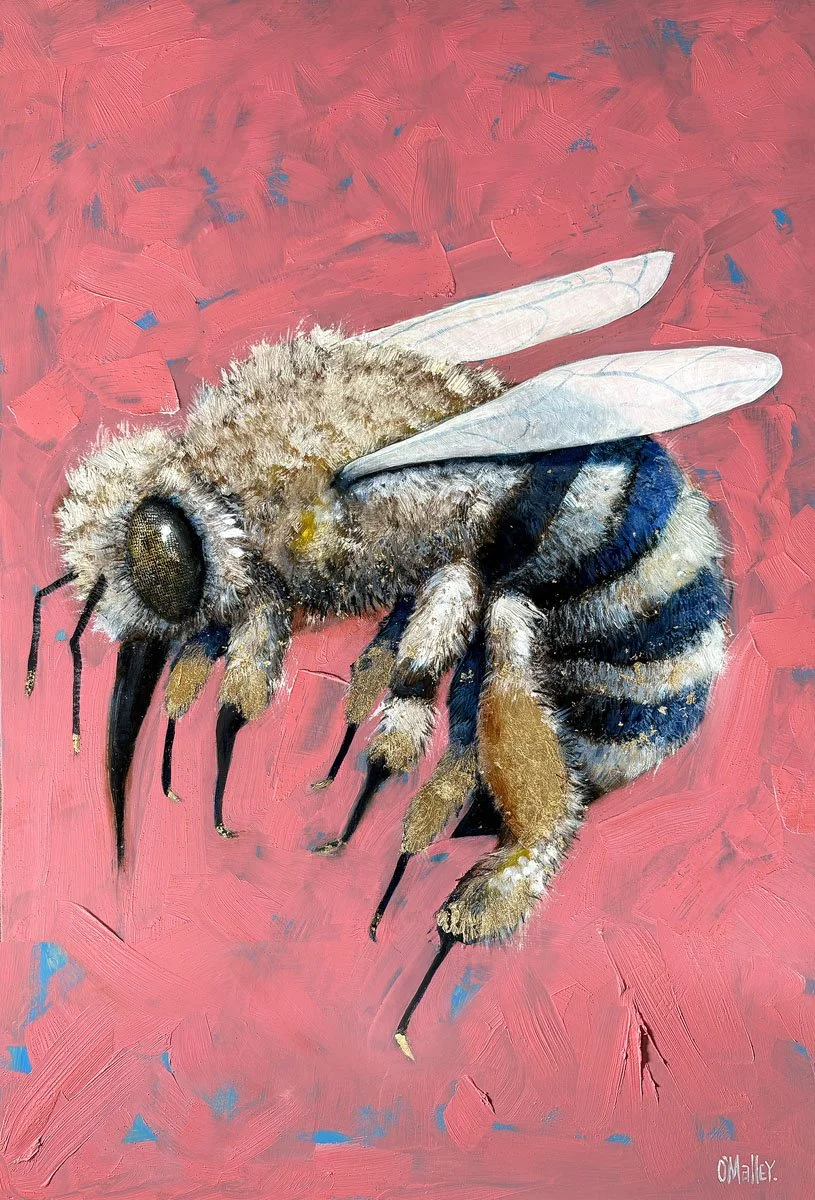 final_LOWRES_bee.jpg