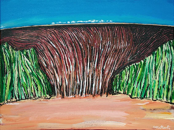 AUSSIE OUTBACK 