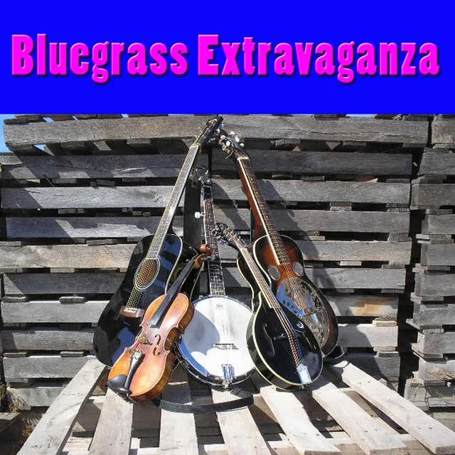 Blue Grass Extravaganza feat Midnight Chicken, The High Street Drifters, Charlie Castle and The Boys Down The Well