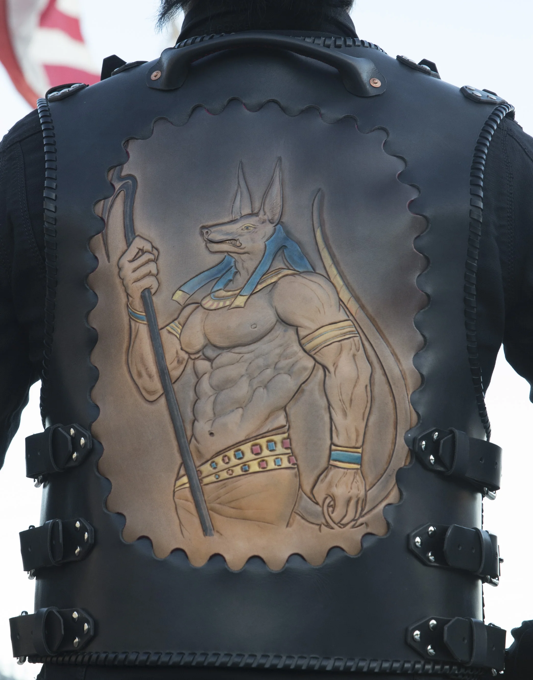 DRI Armour Collection Vest - Anubis