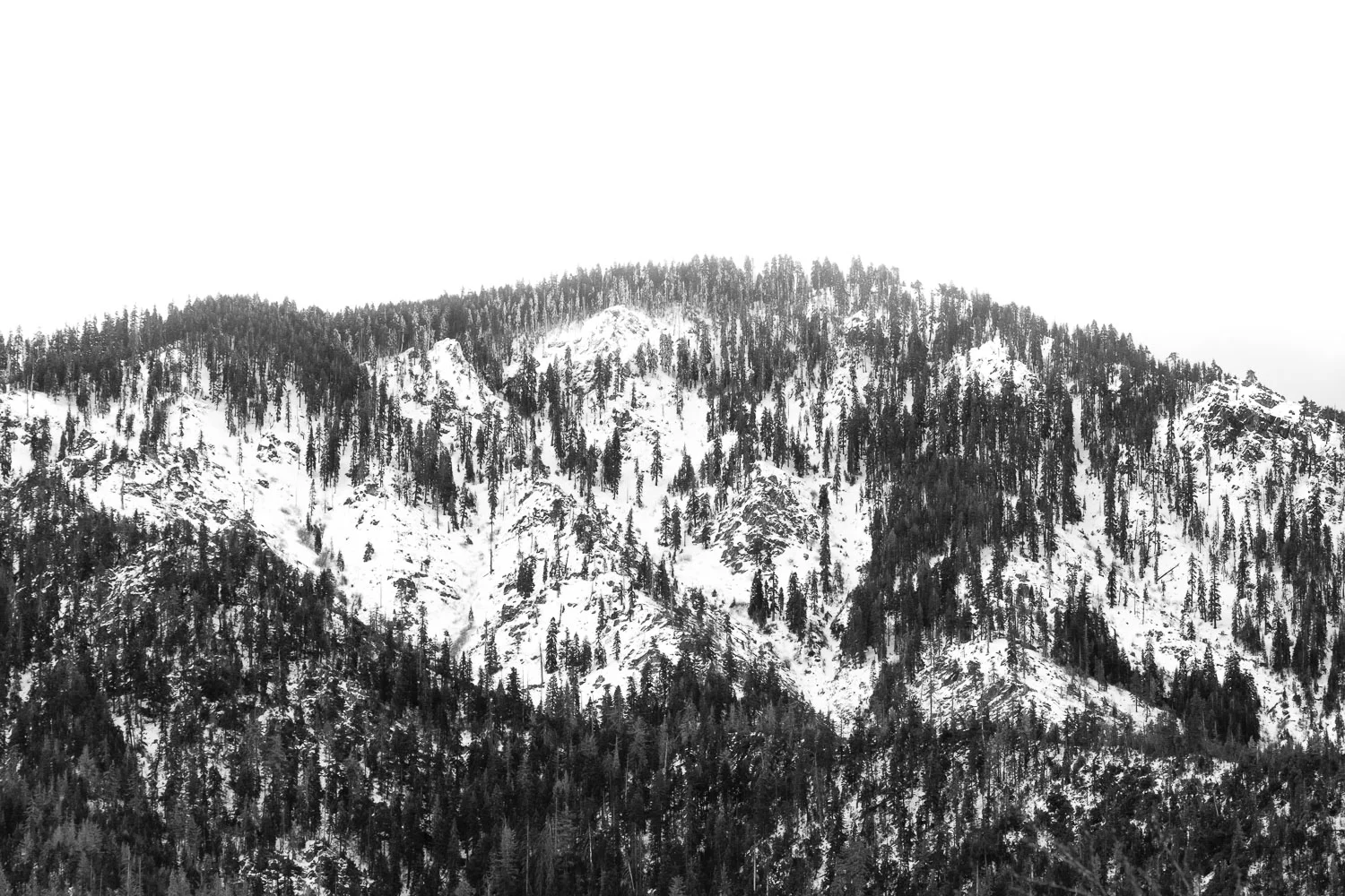 Sequoia National Park - Tulare County, CA
