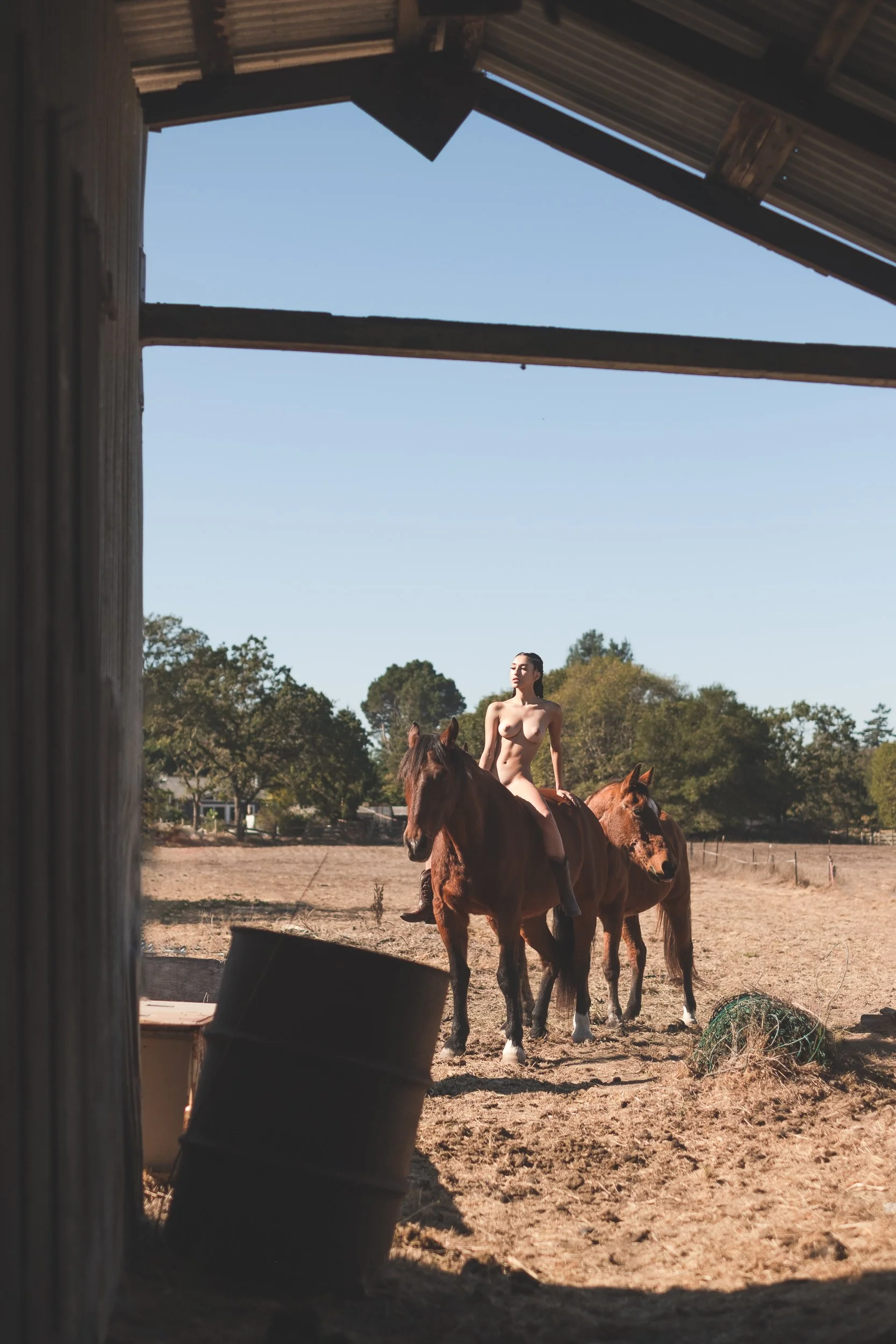 horse_color (11 of 17).jpg