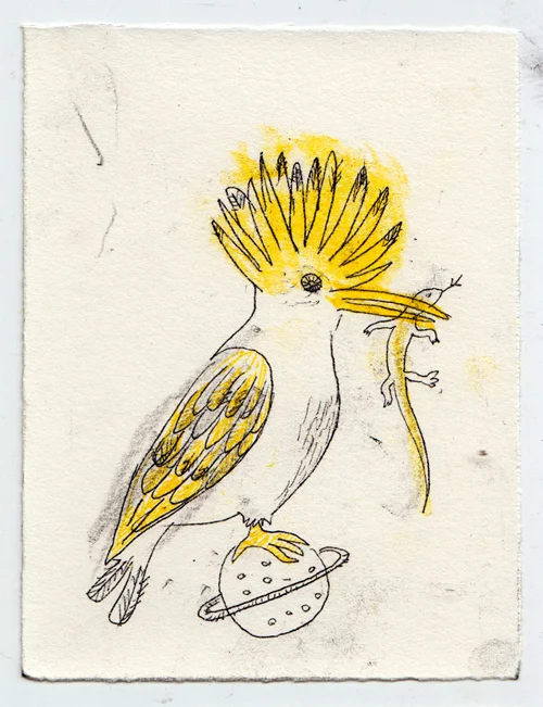 birdplanet_carbonpaper_monotypes_biancatschaikner.jpg