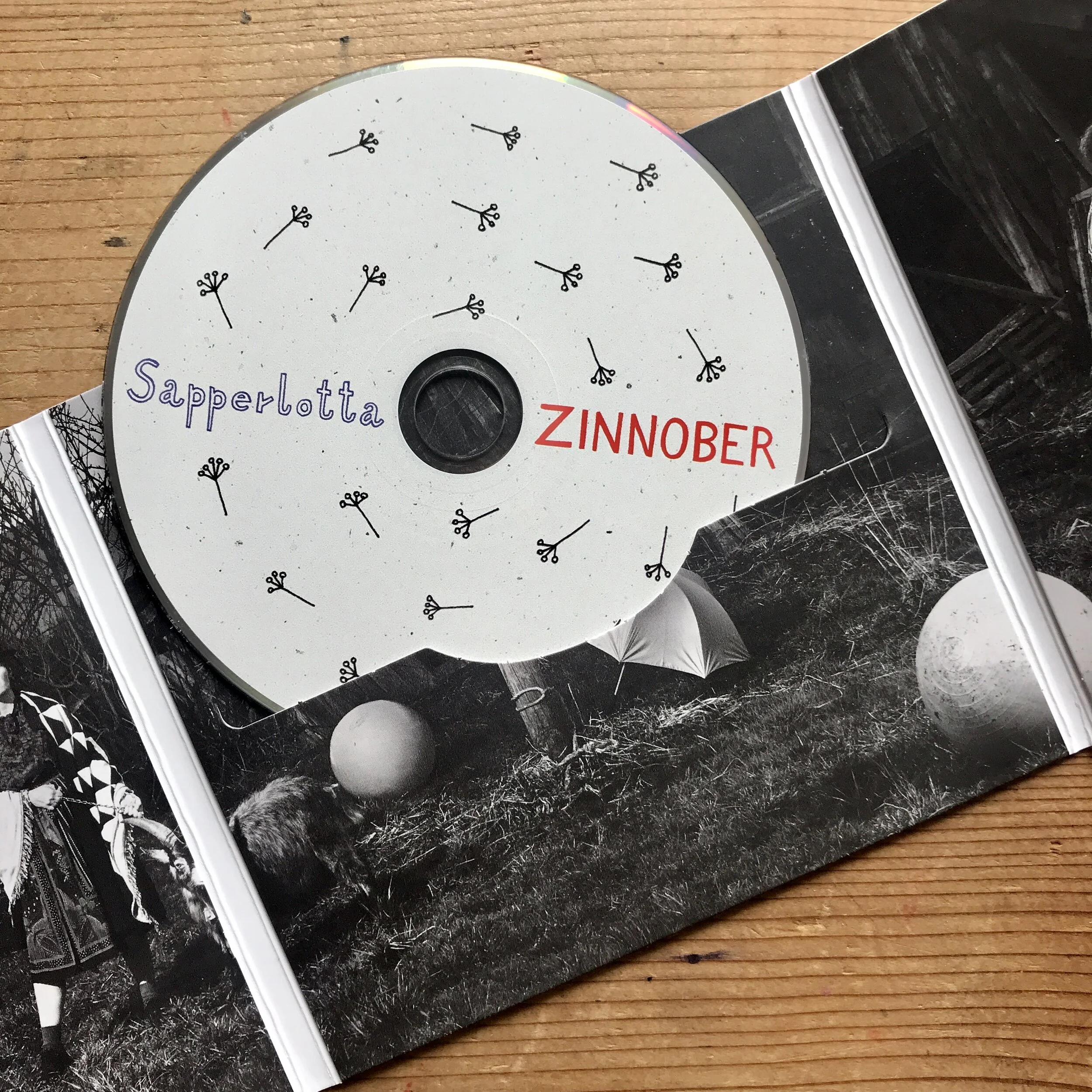 sapperlotta_album_artwork_biancatschaikner6.jpg