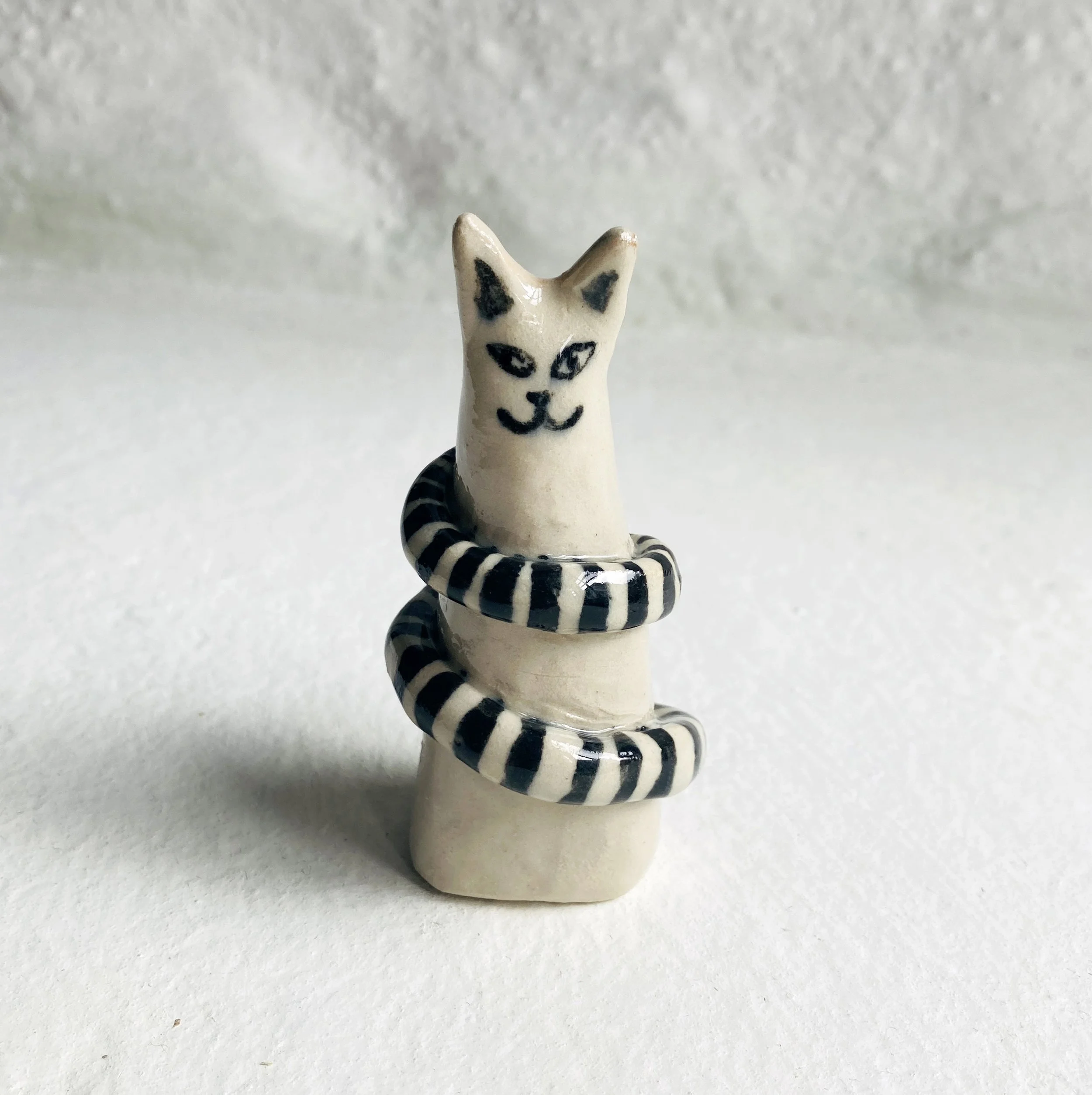 longtailedcat_ceramicplate_biancatschaikner1.jpg