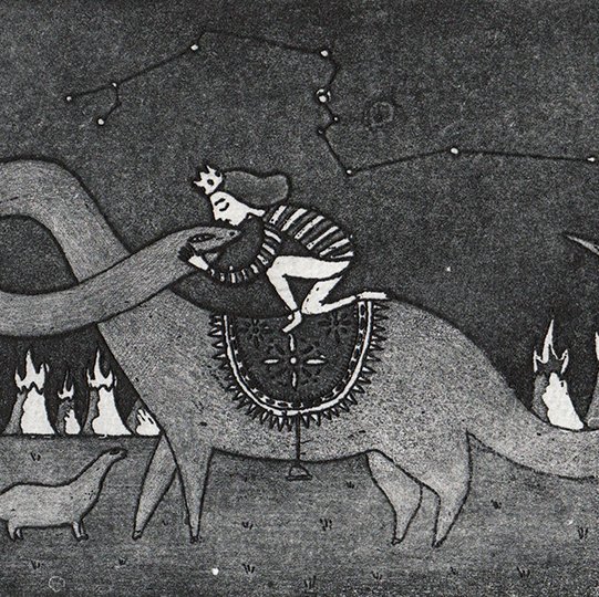 domestication_biancatschaiknerCUT.jpg