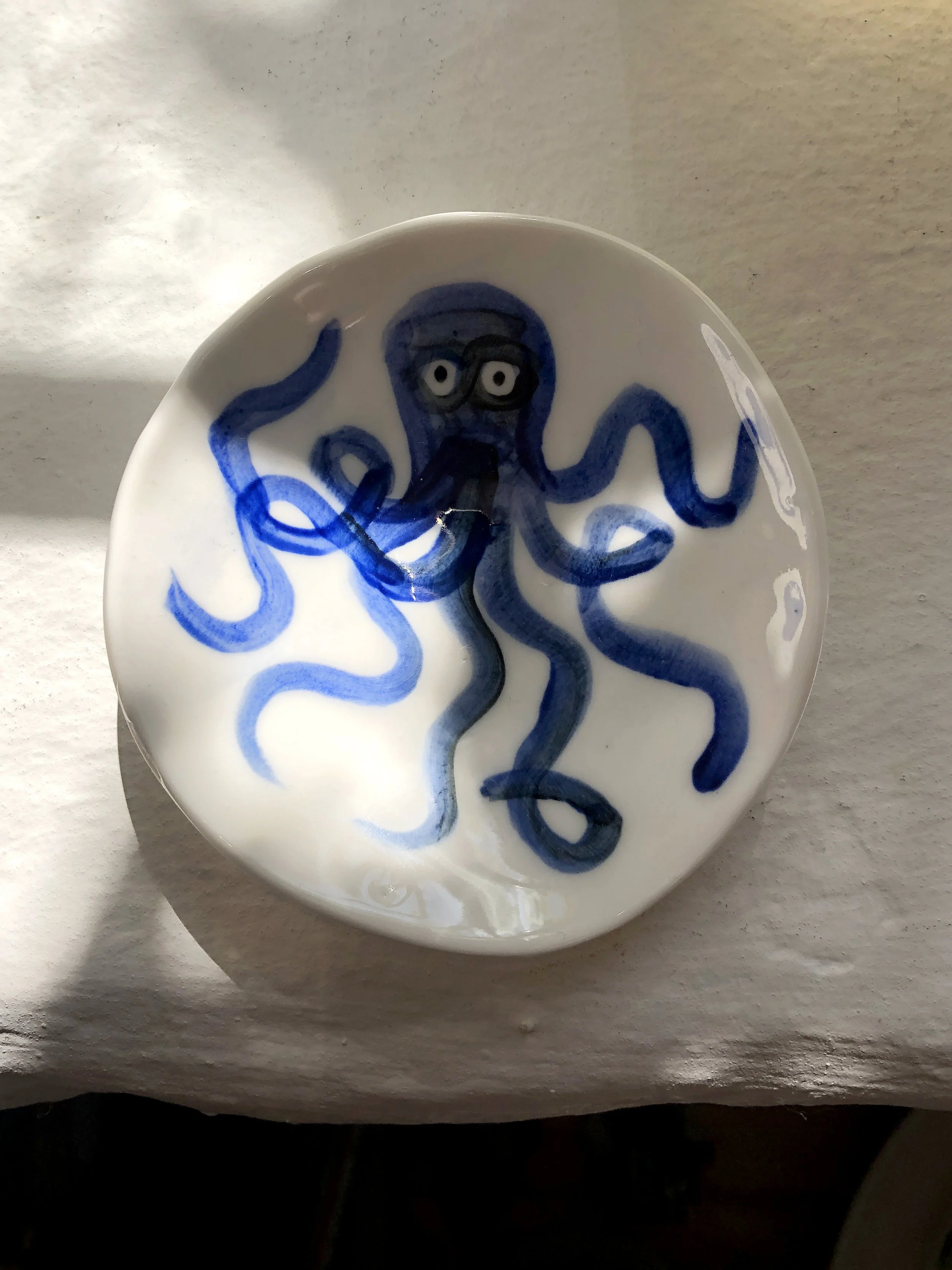 babyoctopus_biancatschaikner.jpg