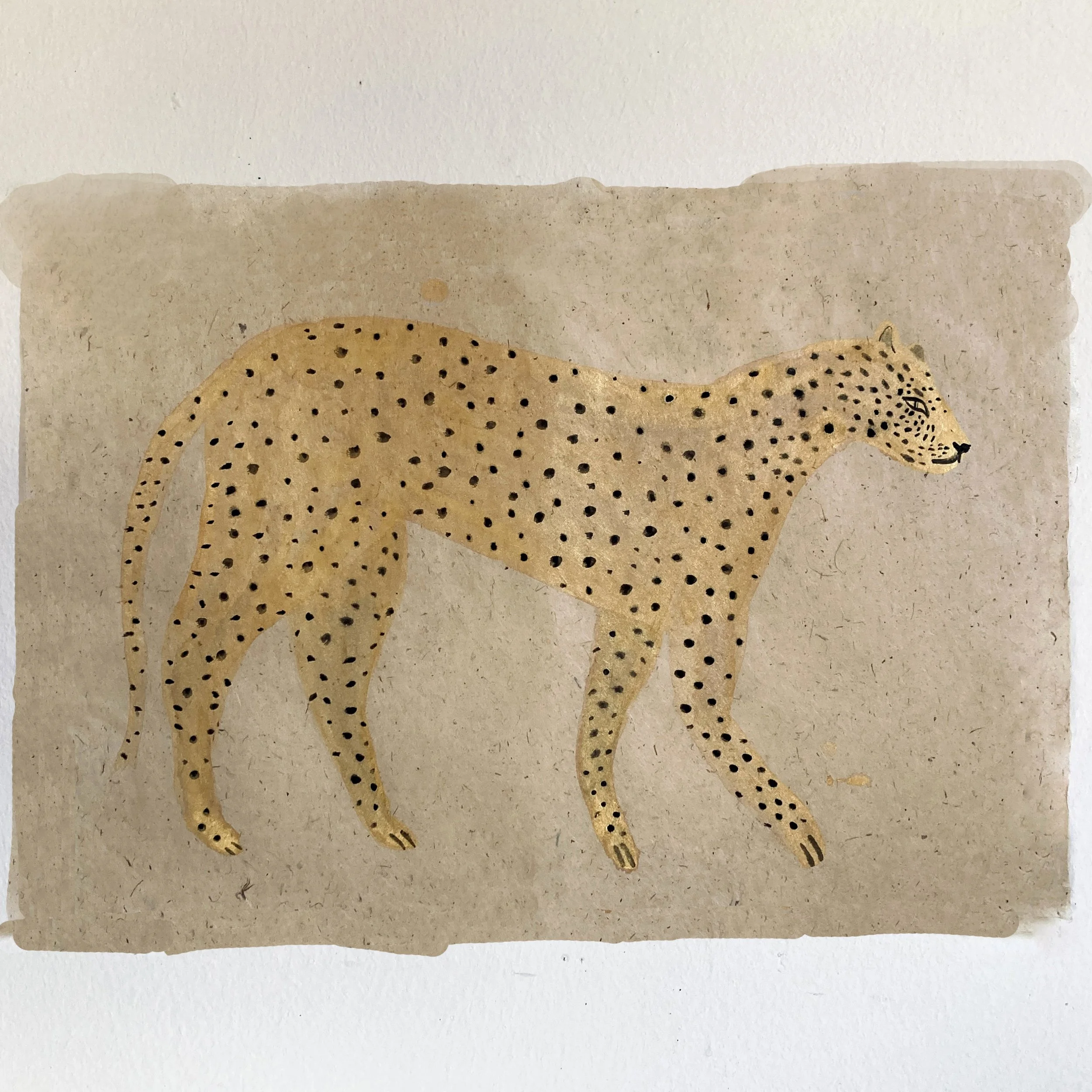 leopard_large.jpg