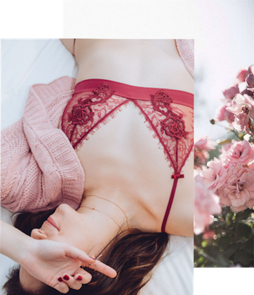 Red Lace Bralette .png