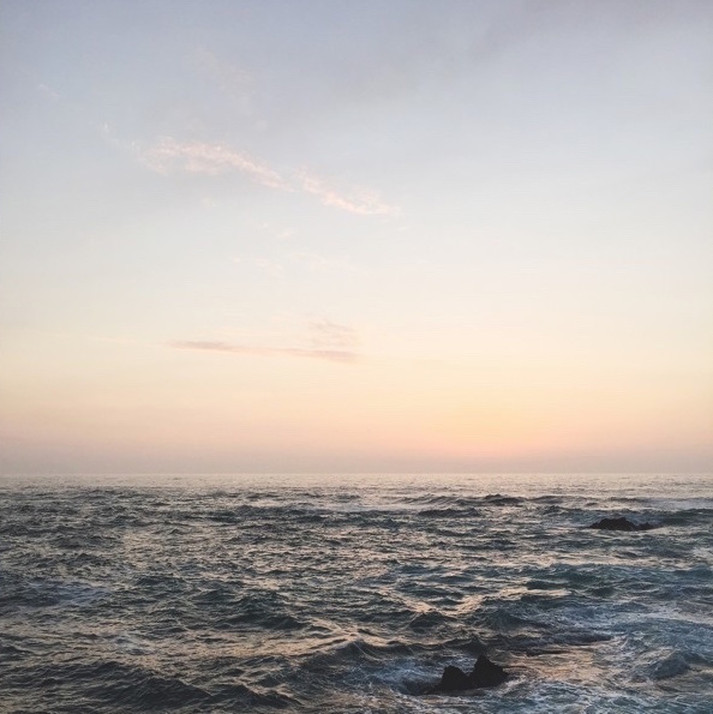 8ea007_2f5739e4b0a448d3993f786d51a281df~mv2.jpeg