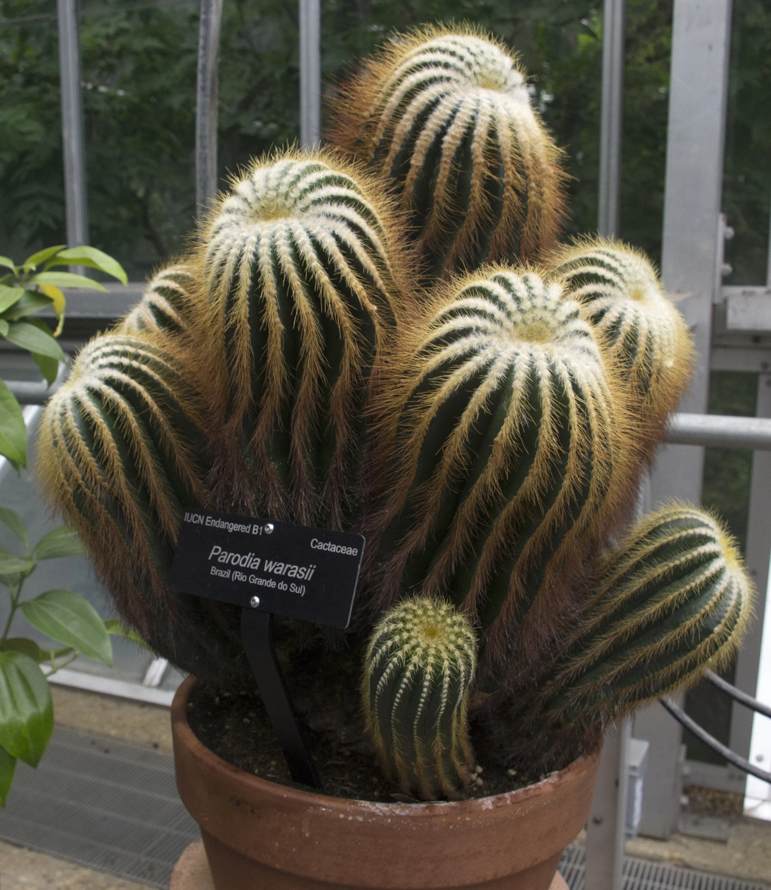 IMGP7719.jpg