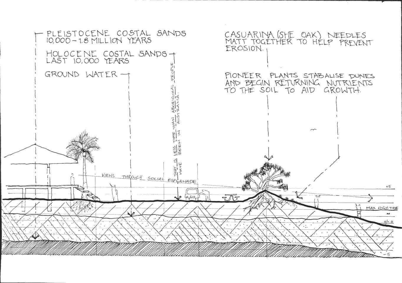 The Beach front section, water through to The Esplanade and first block. Ages of substrate Woodgate resides on, ground water, sea water and the connection of it all. 
