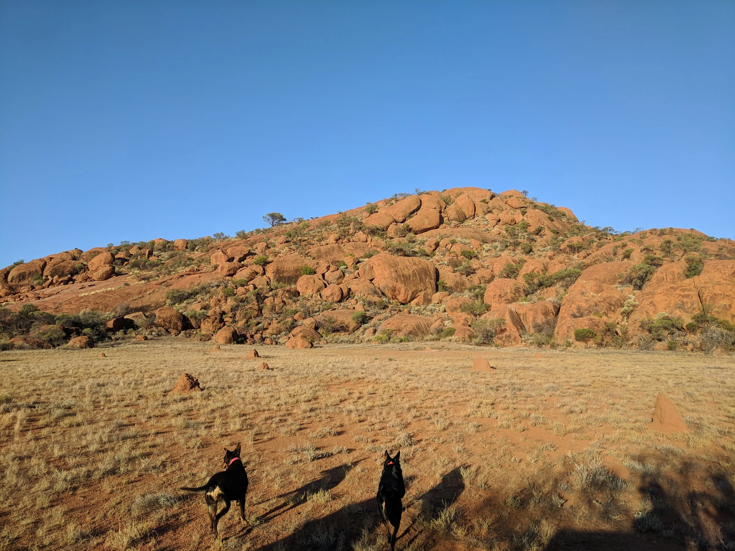 Budara, an ancient, sacred and life saving place. Indigenous Mobs guided early whitefellas here, leading them to water and saving their lives.