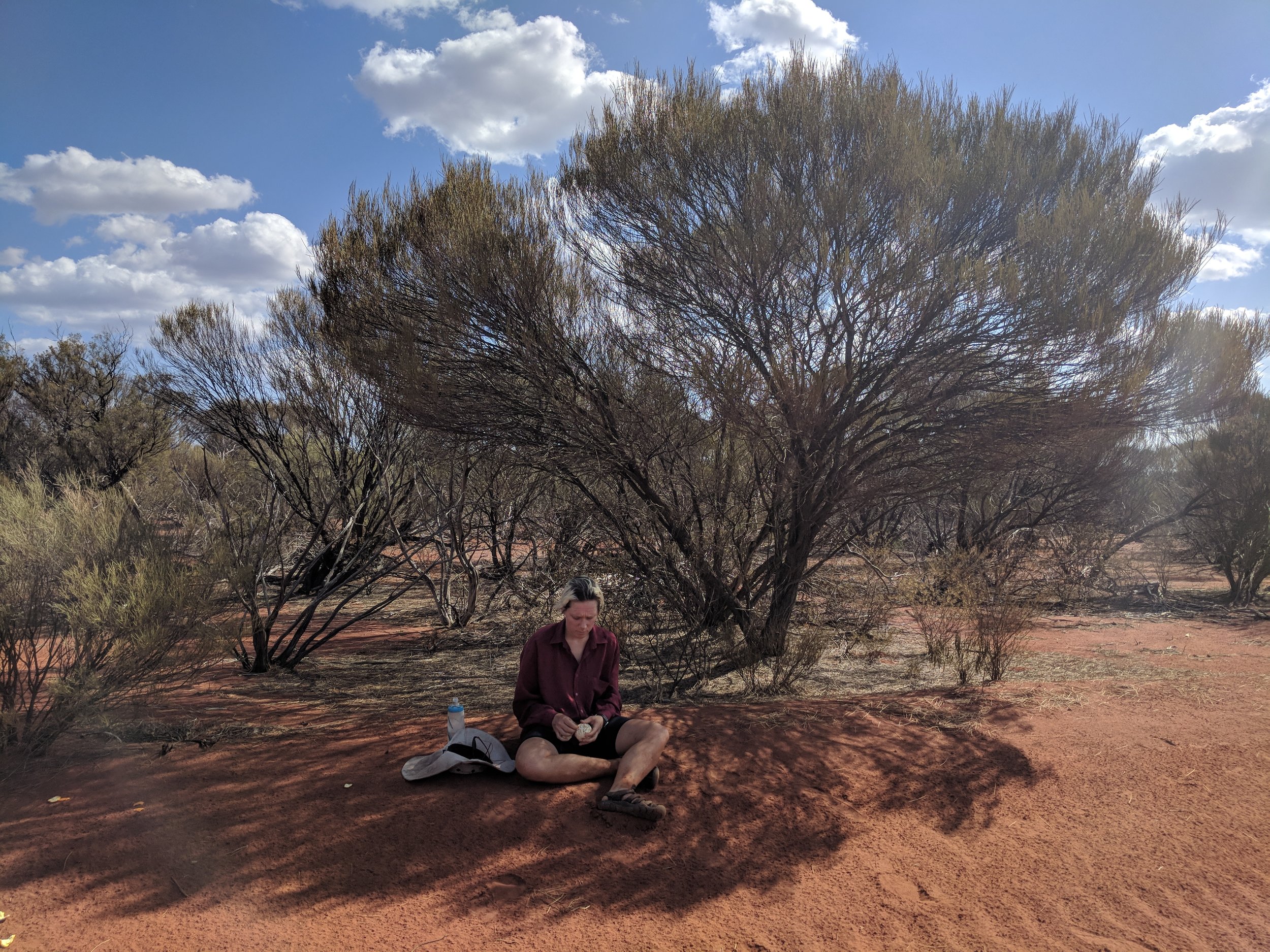  mulga shade, not as good as east coast 