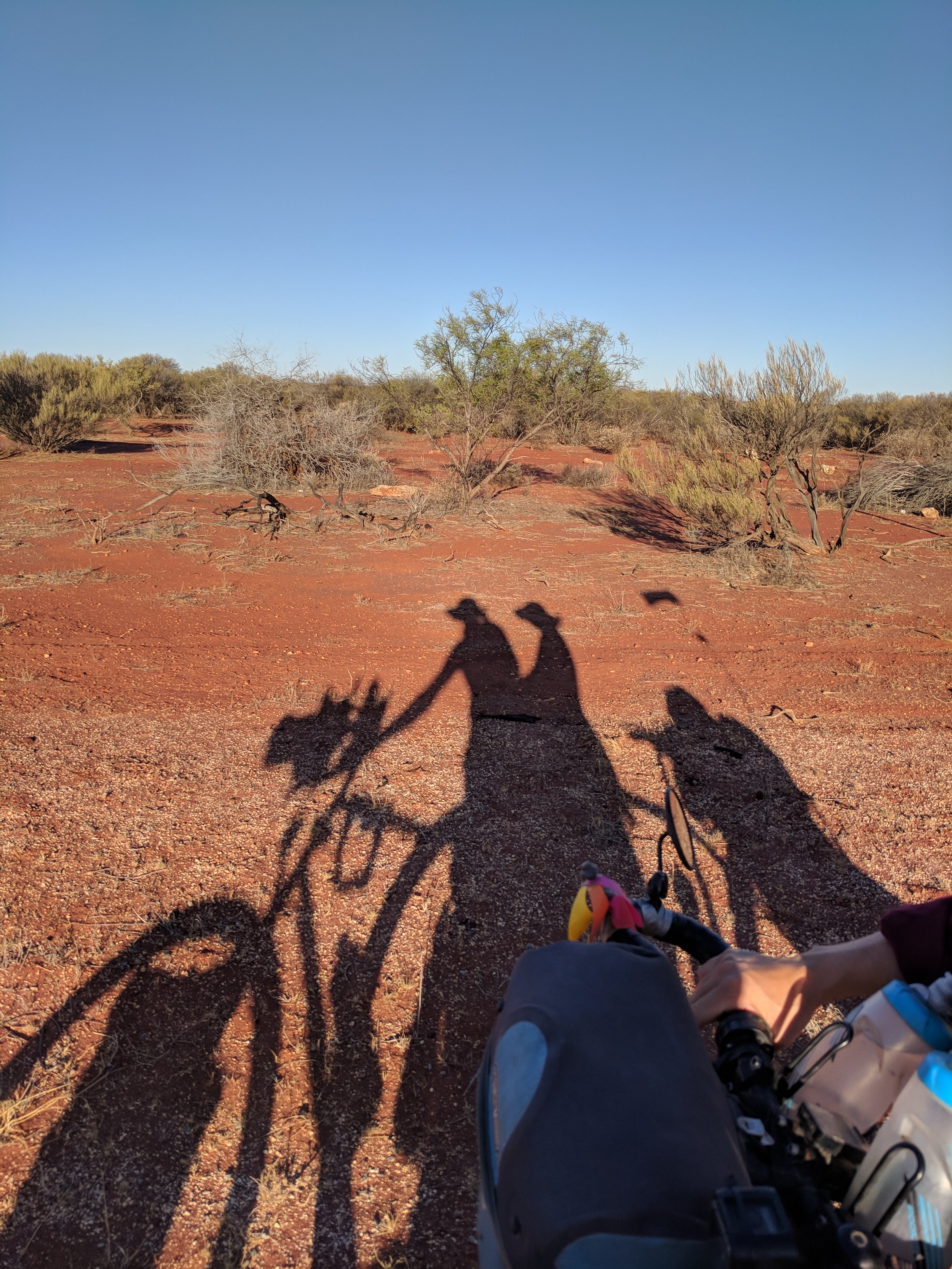 Long shadows
