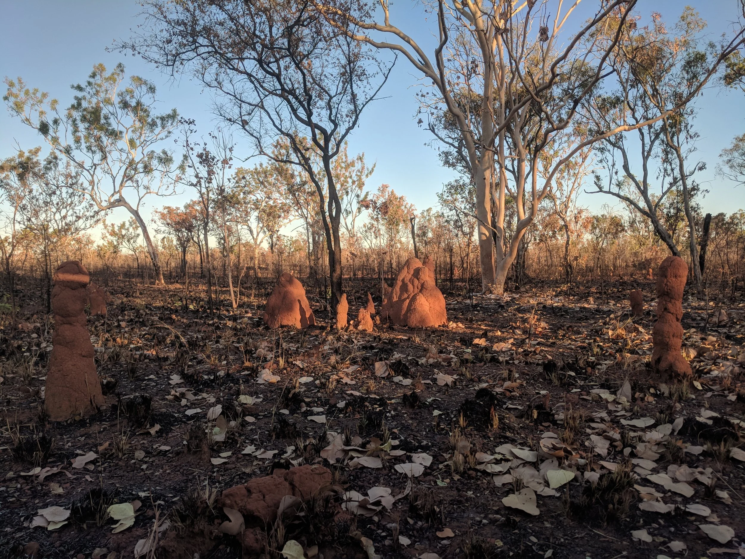 An image from the 'in-between' (Darwin-Alice) - High Density, naturally ventilated inland cities litter the landscape in these parts