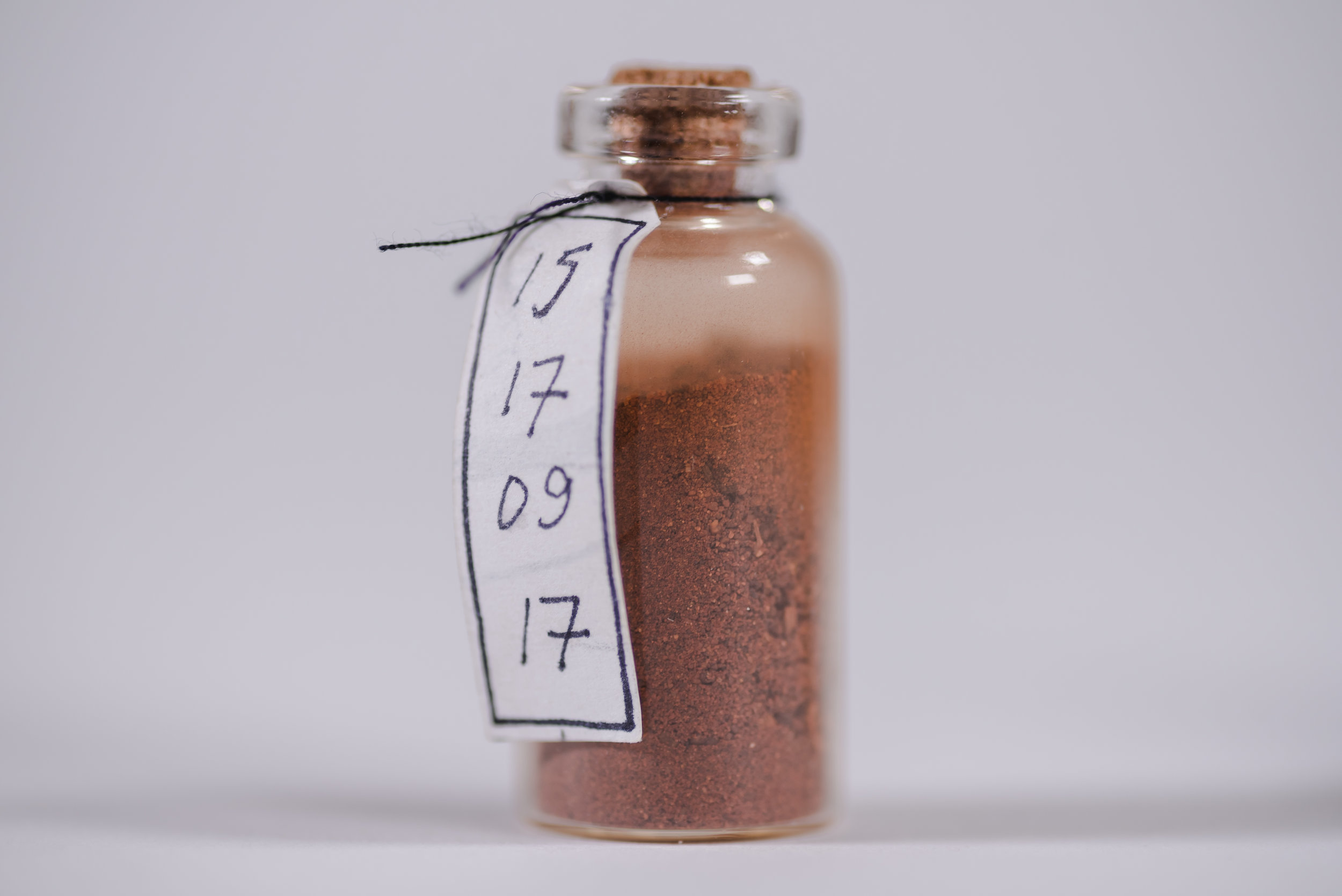 Warburton Dirt