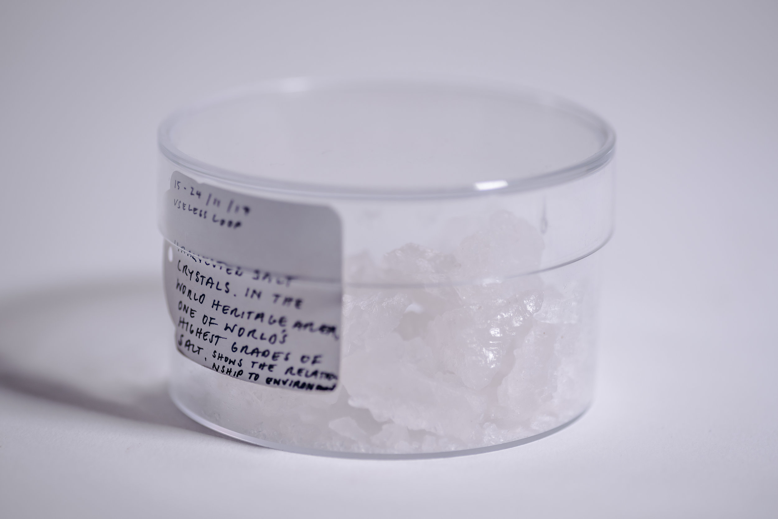 useless Loop Salt