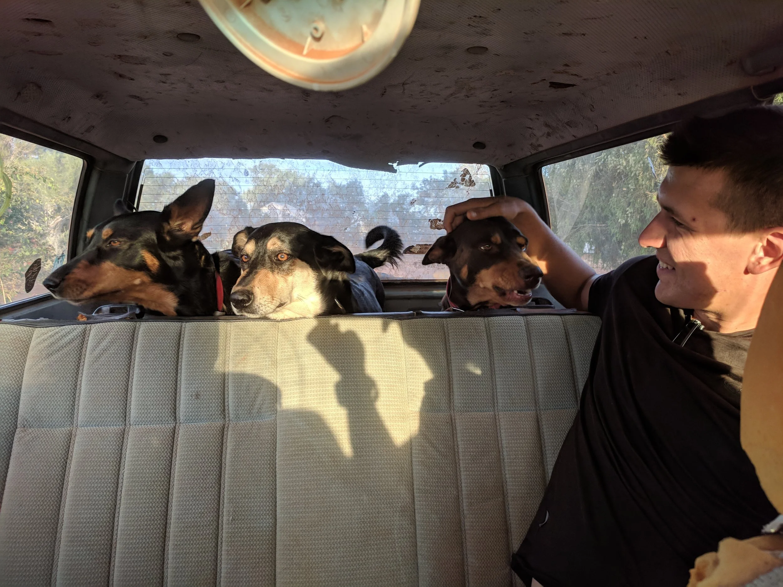 Who is a good boy?