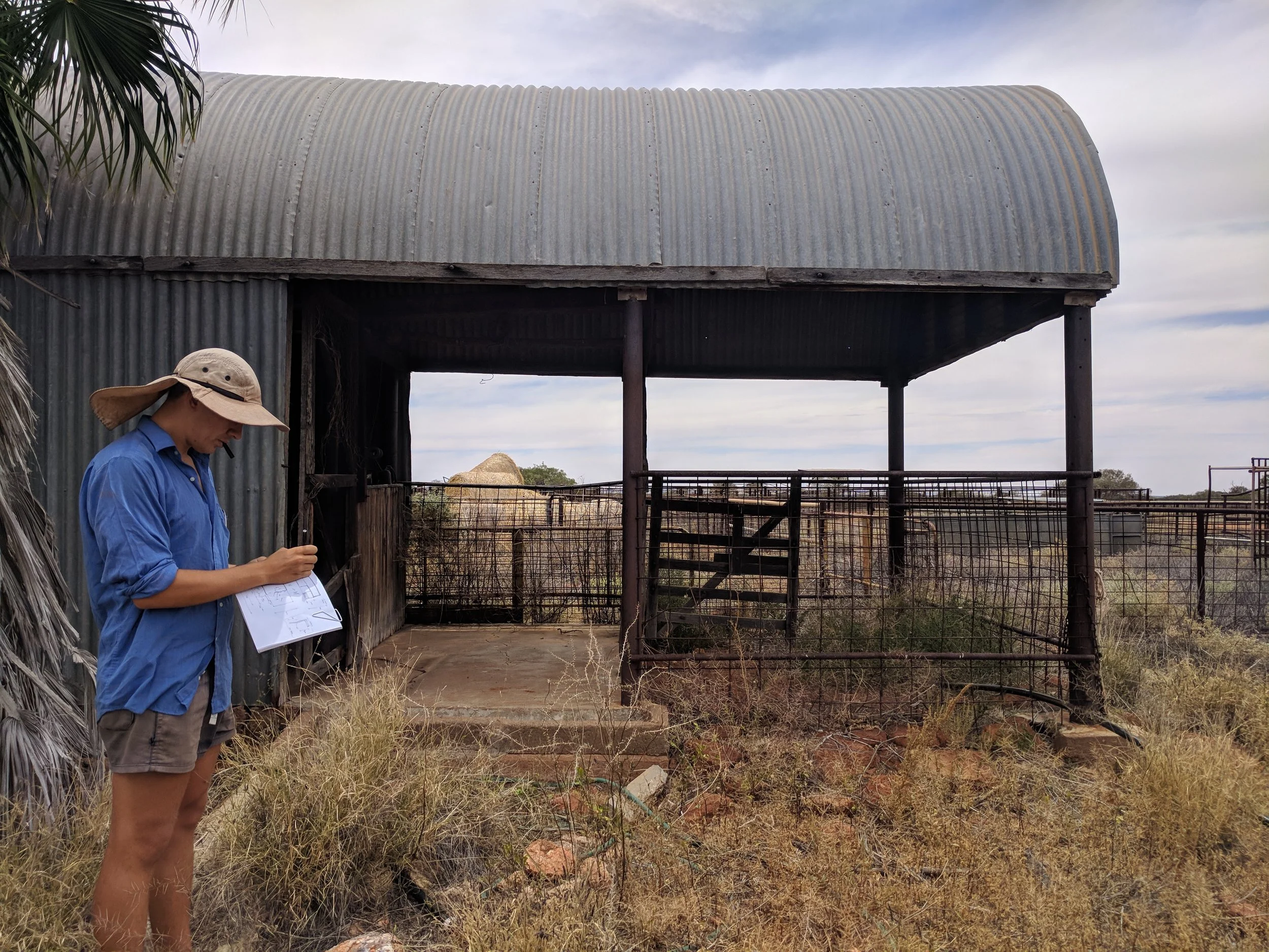 The Killing Shed