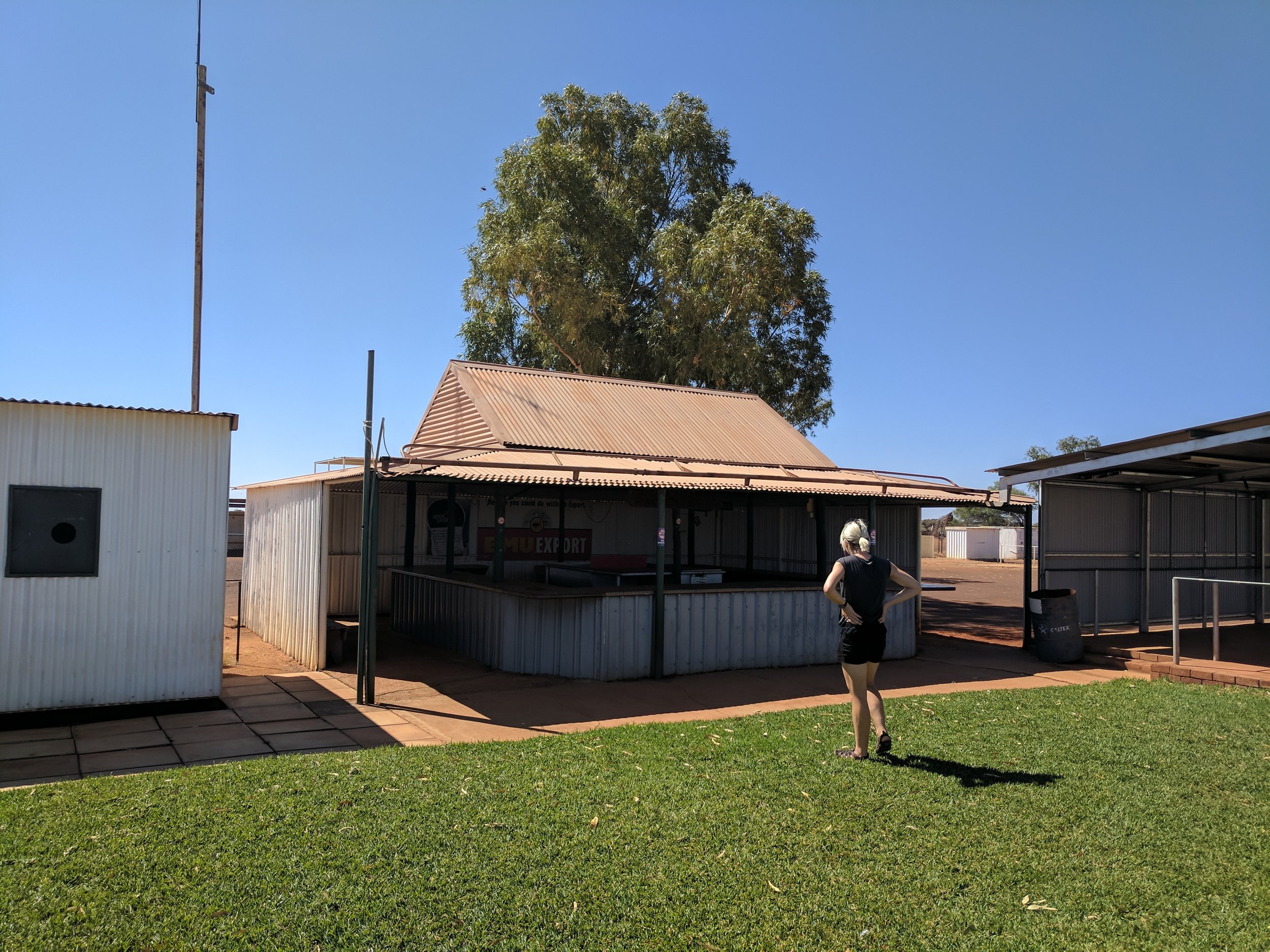 Showground