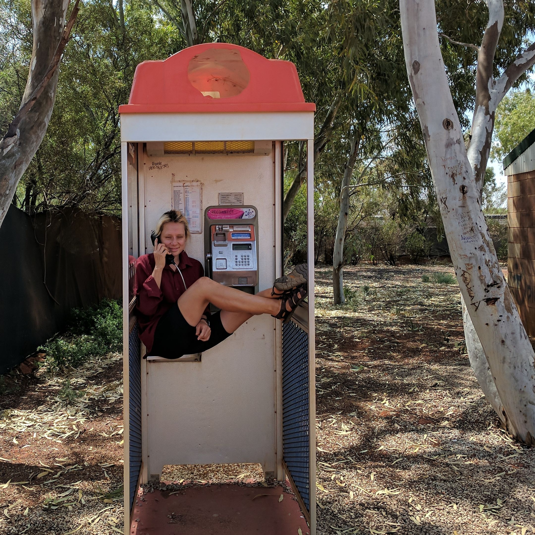 BB phone home
