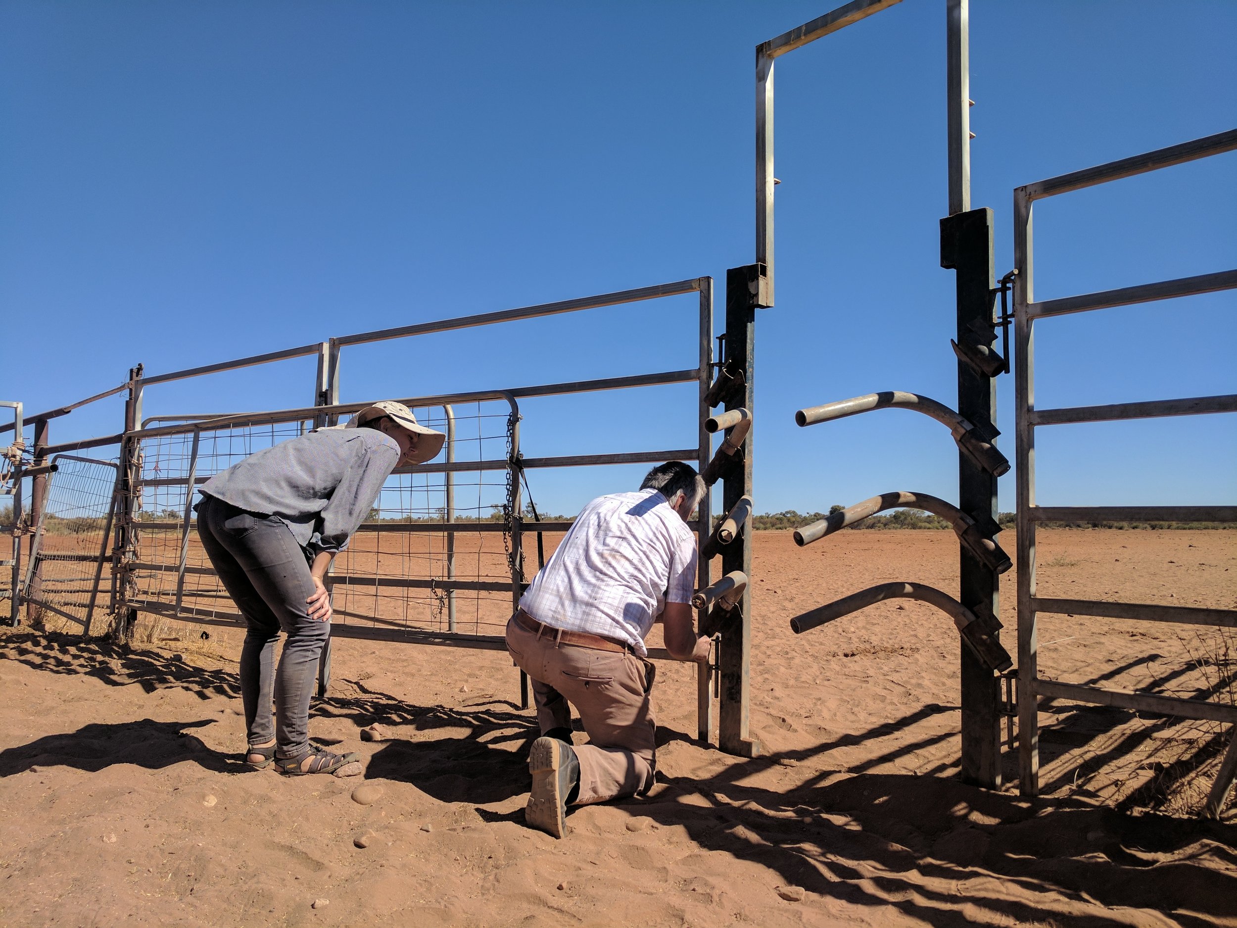 Ken and the Cattle Yards